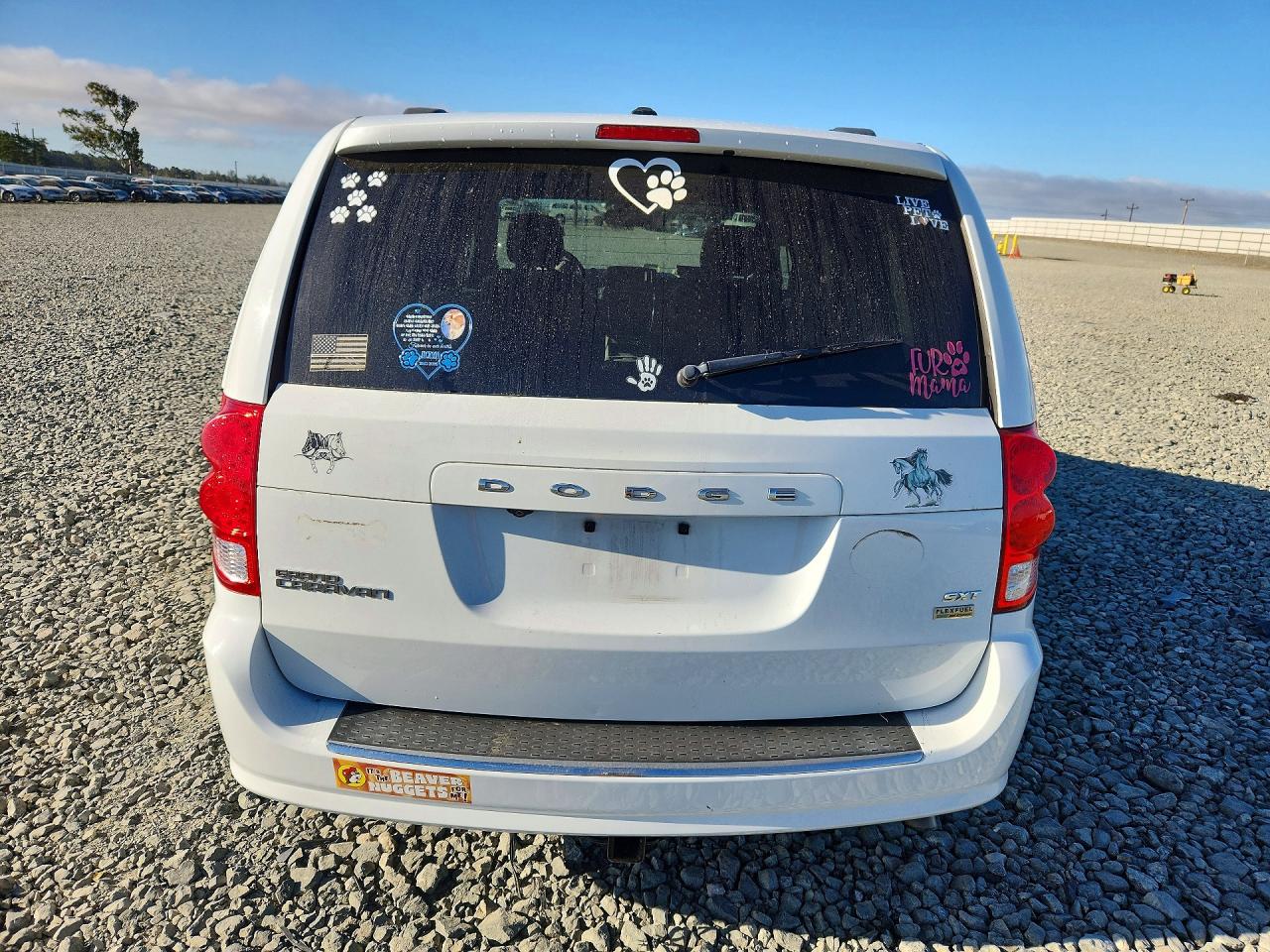 2019 Dodge Grand Caravan Sxt White vin: 2C4RDGCG8KR735539