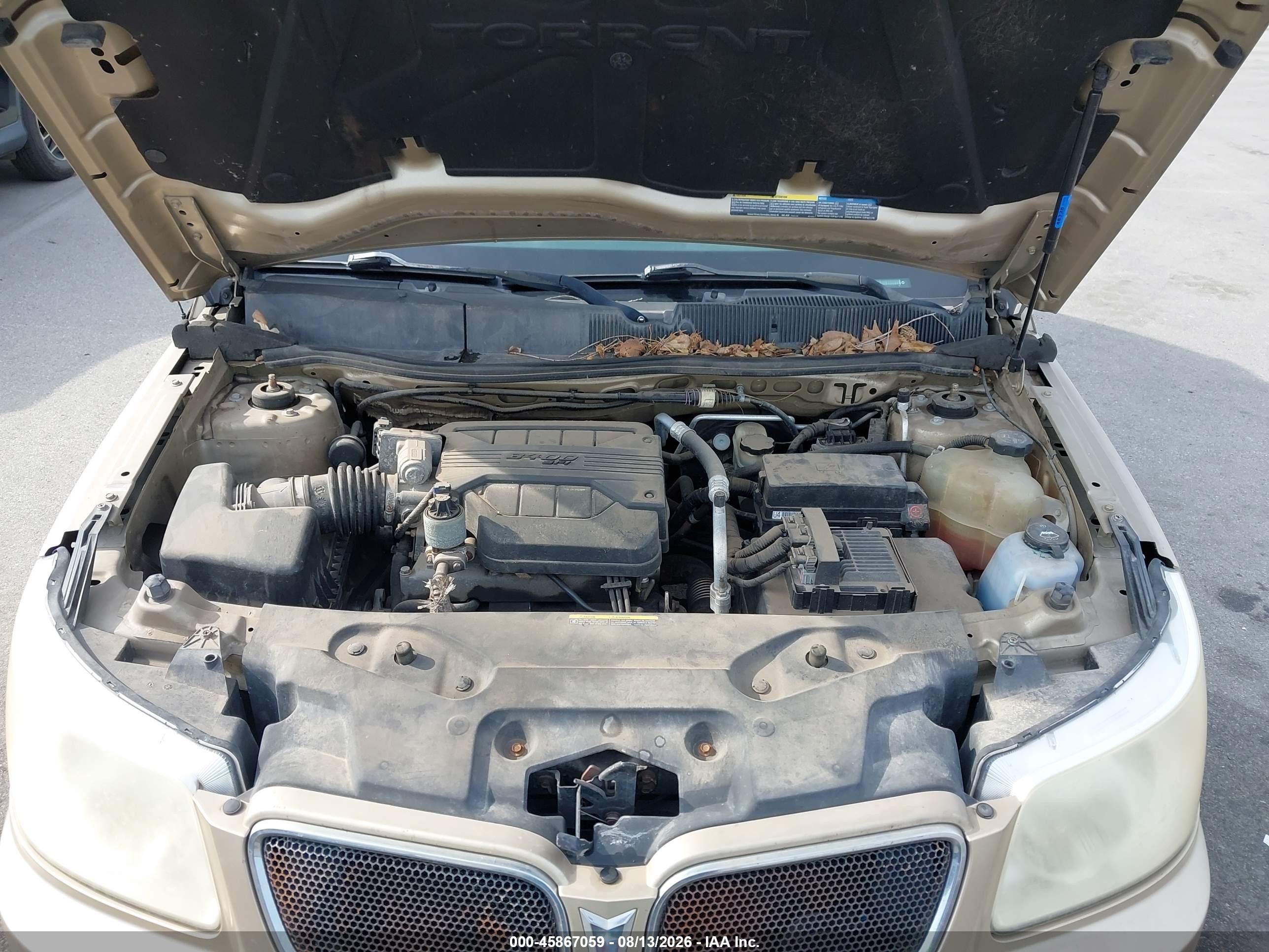 2006 Pontiac Torrent Gold vin: 2CKDL63F466029960