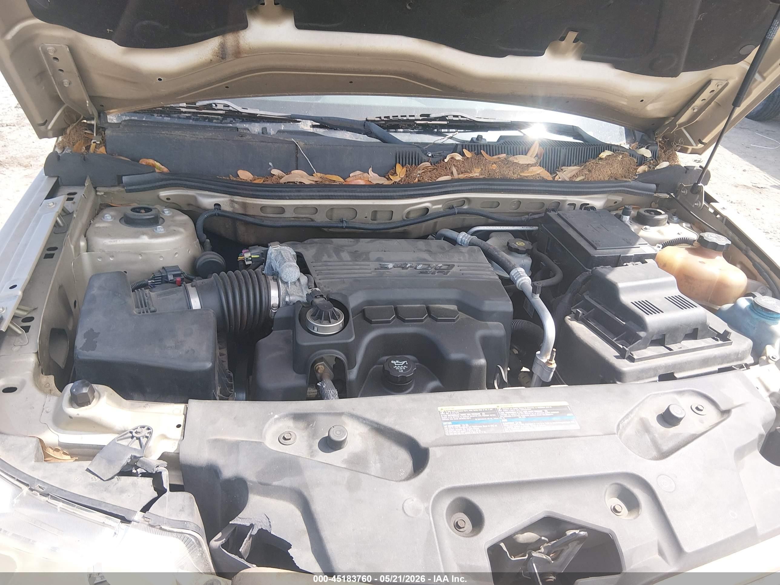 2007 Pontiac Torrent   Бежевый vin: 2CKDL63FX76081188
