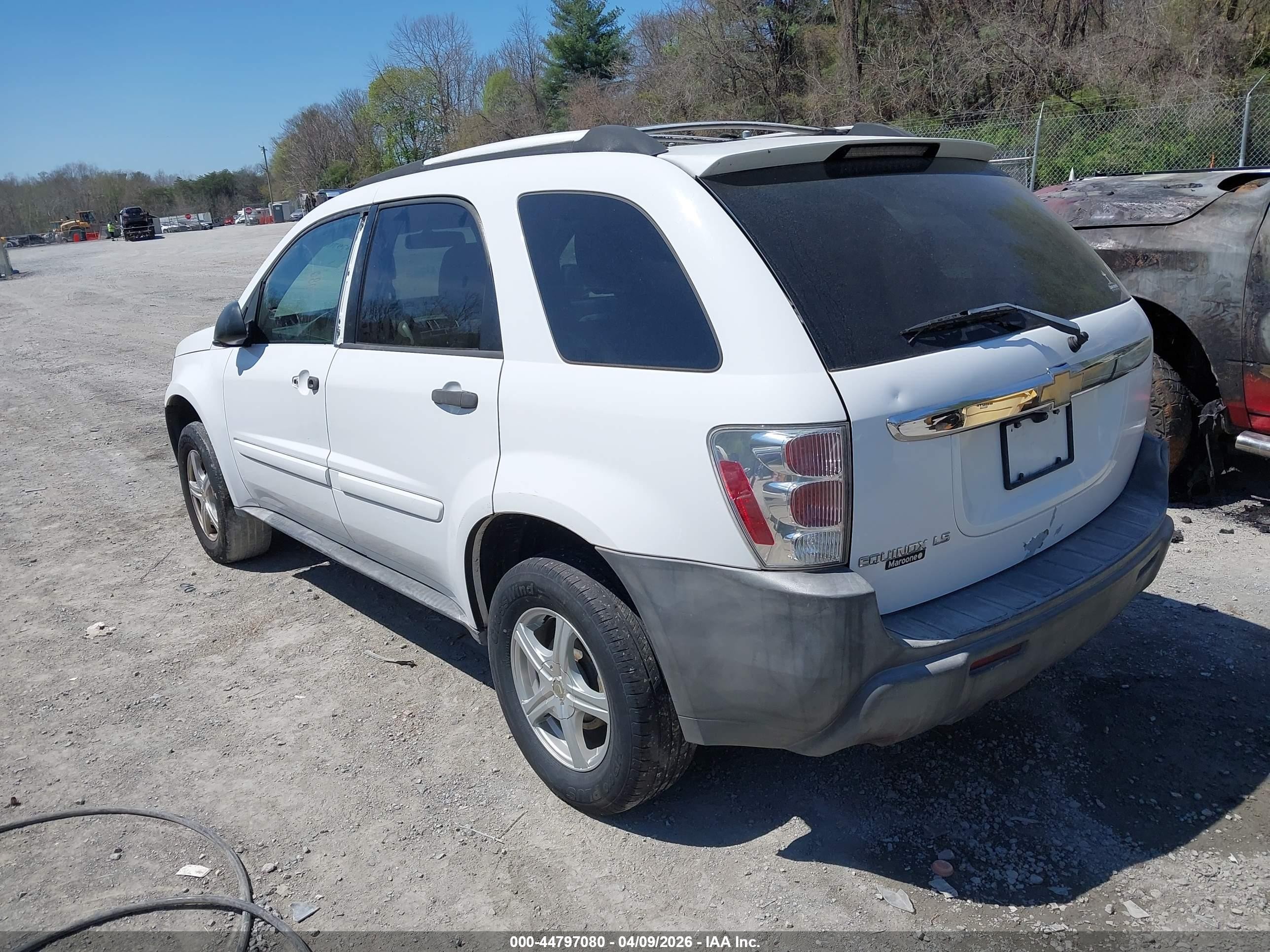 2005 Chevrolet Equinox Ls White vin: 2CNDL13F056184462