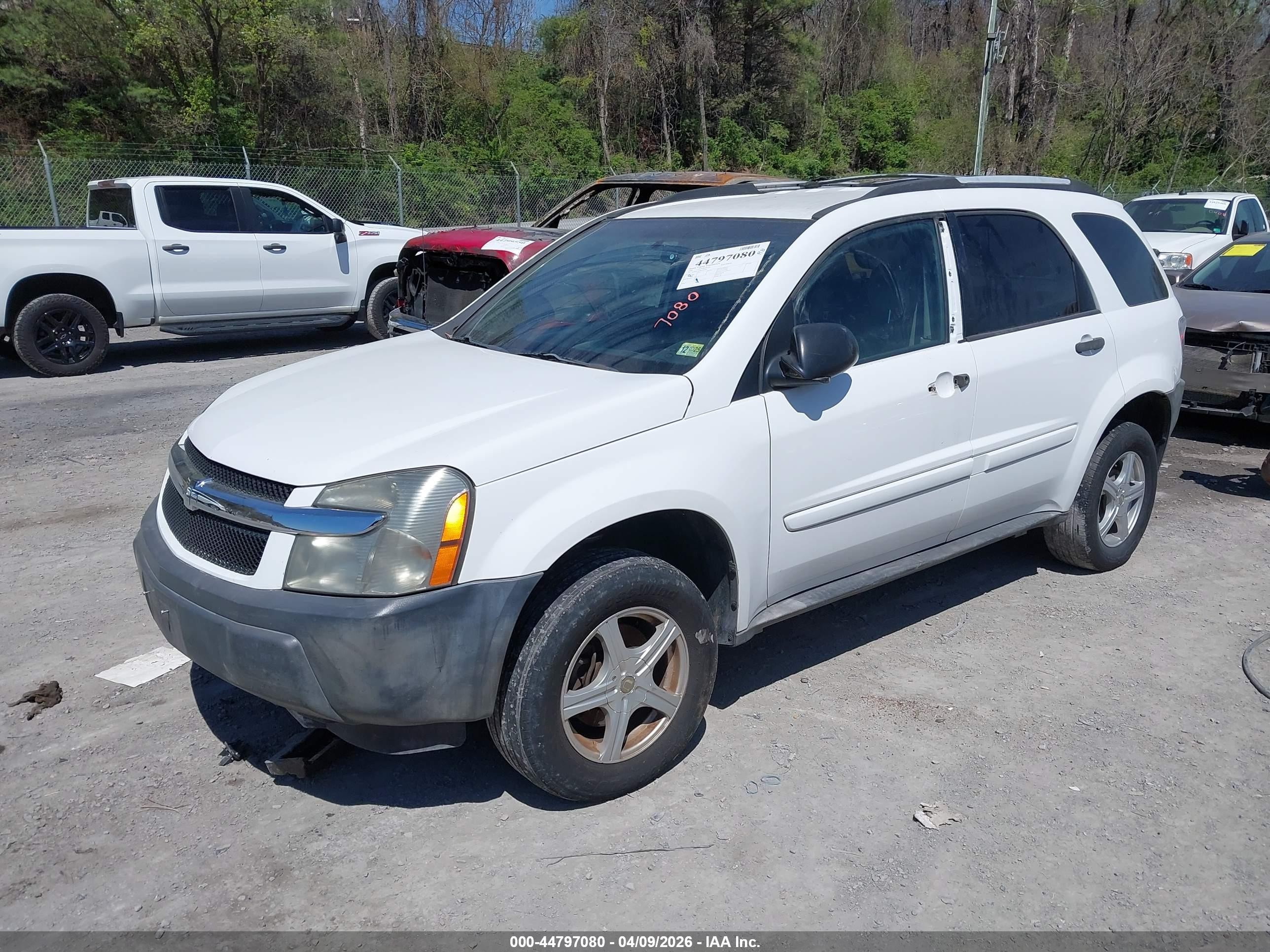 2005 Chevrolet Equinox Ls White vin: 2CNDL13F056184462