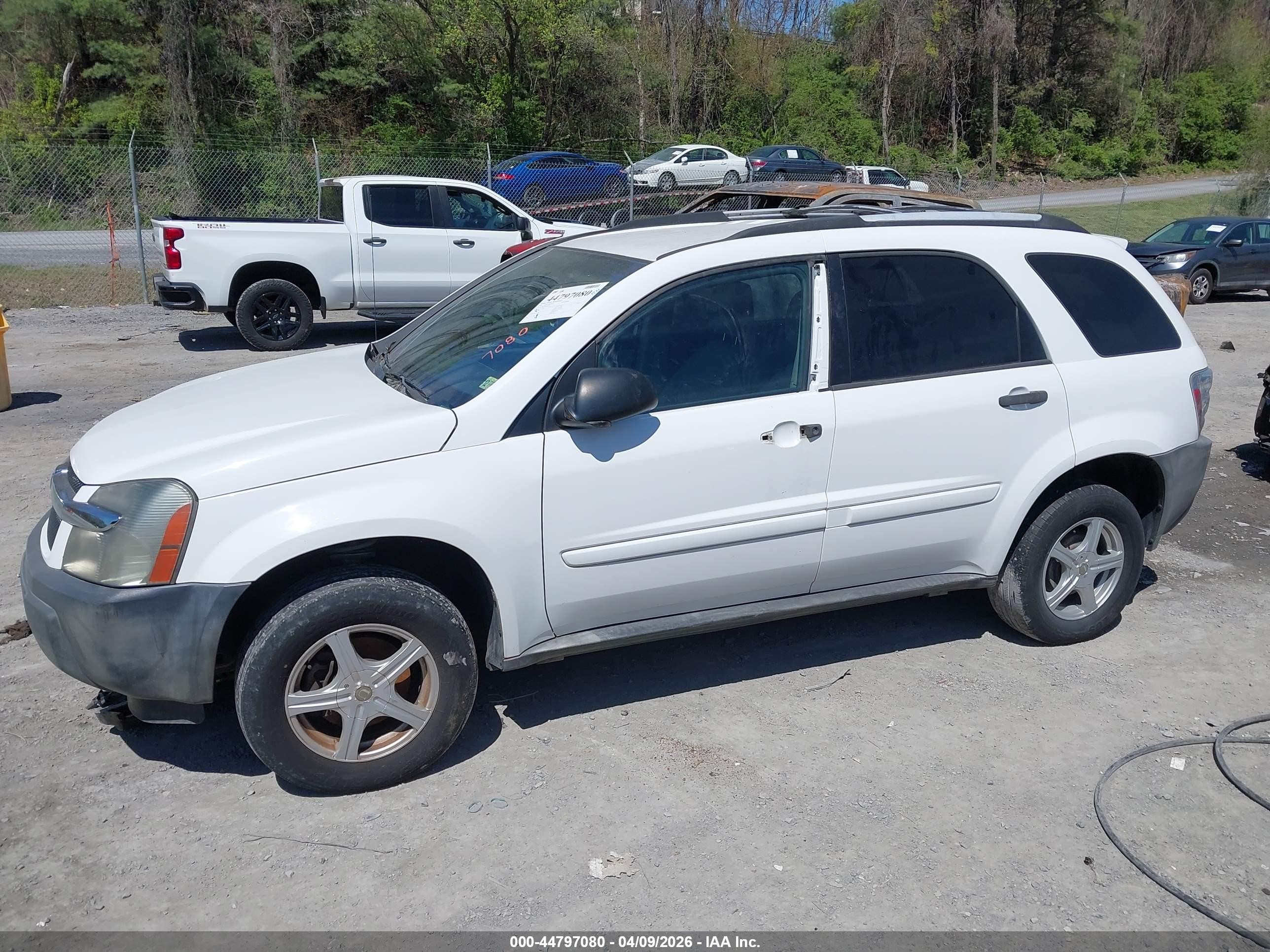 2005 Chevrolet Equinox Ls White vin: 2CNDL13F056184462