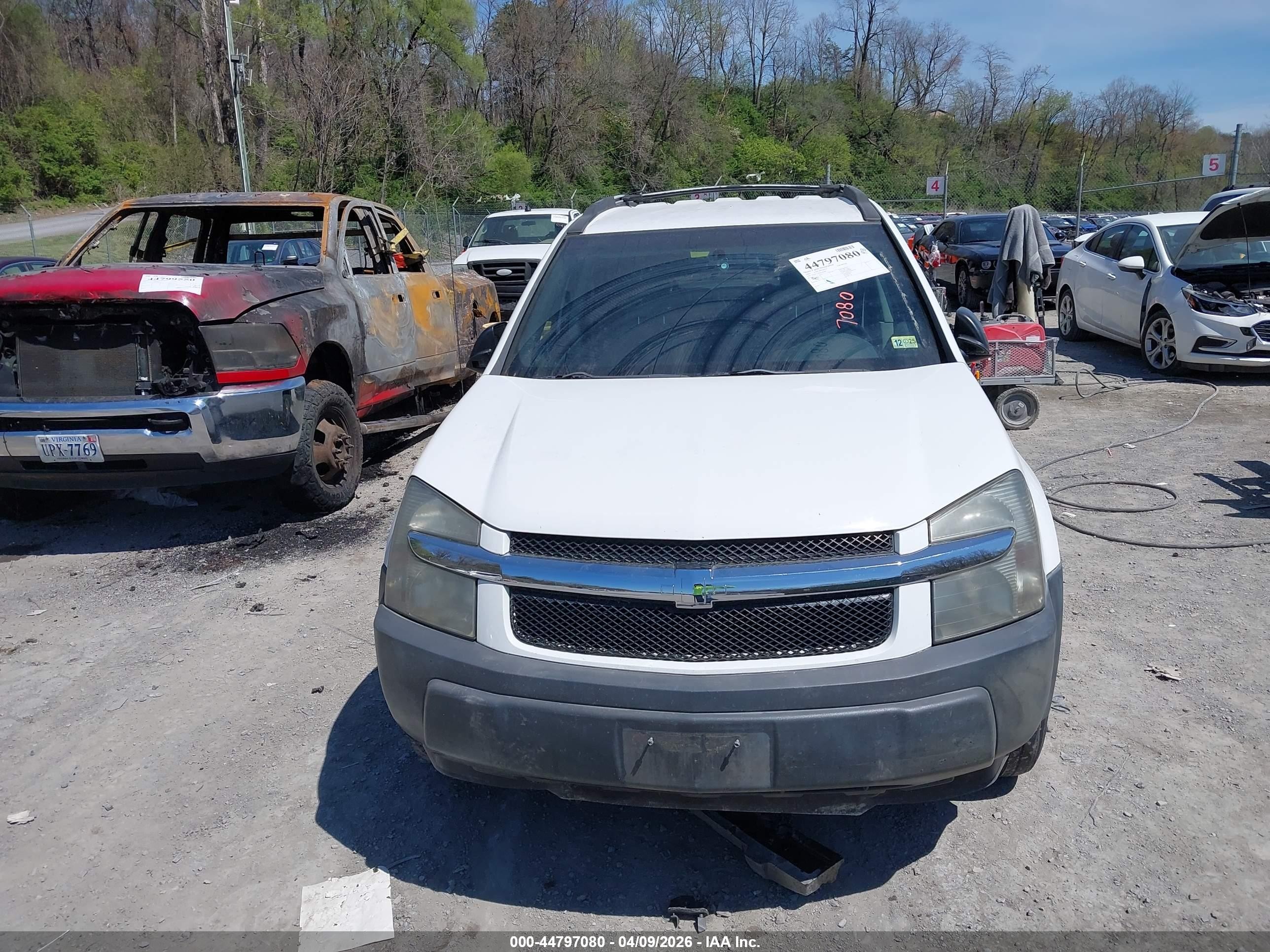 2005 Chevrolet Equinox Ls White vin: 2CNDL13F056184462