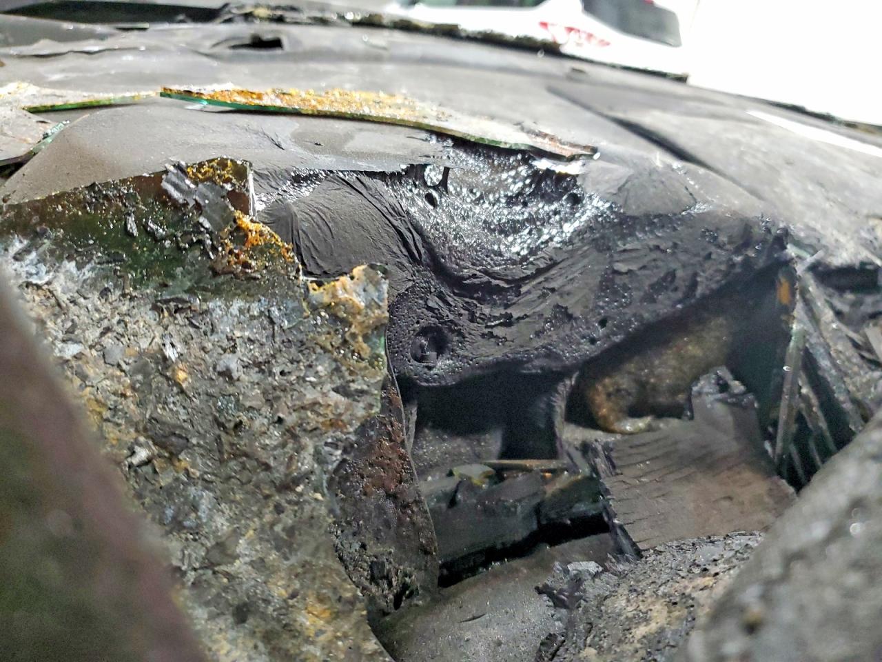 2010 Chevrolet Equinox Lt Burn vin: 2CNFLNEW3A6216330