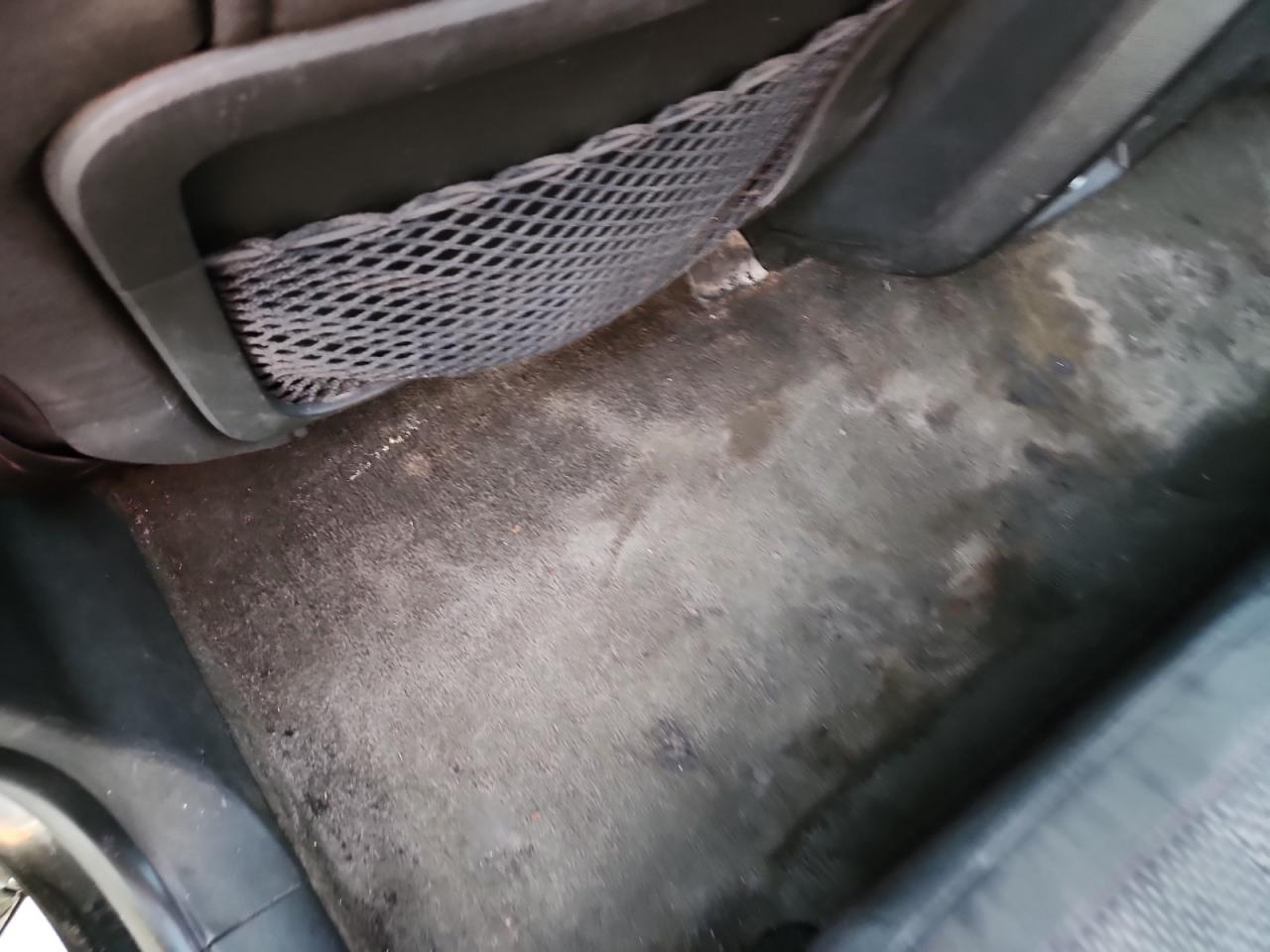 2010 Chevrolet Equinox Lt Black vin: 2CNFLPEY4A6234283 Damage: Left Rear Carpet, Stained, Permanent