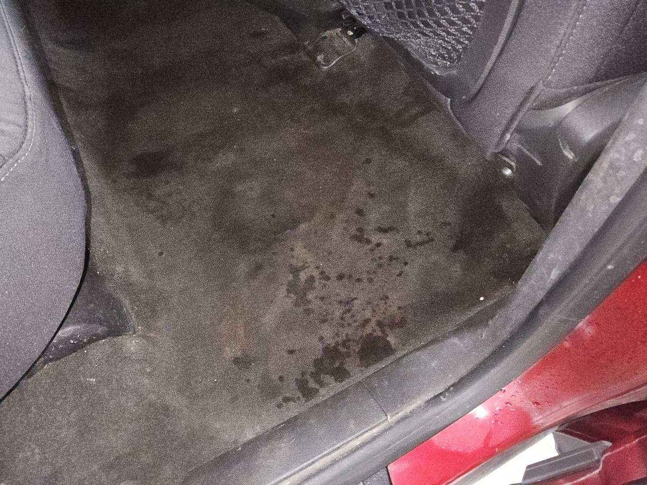 2010 Gmc Terrain Sle Red vin: 2CTALBEW3A6259941 Damage: Right Rear Carpet, Stained, Permanent