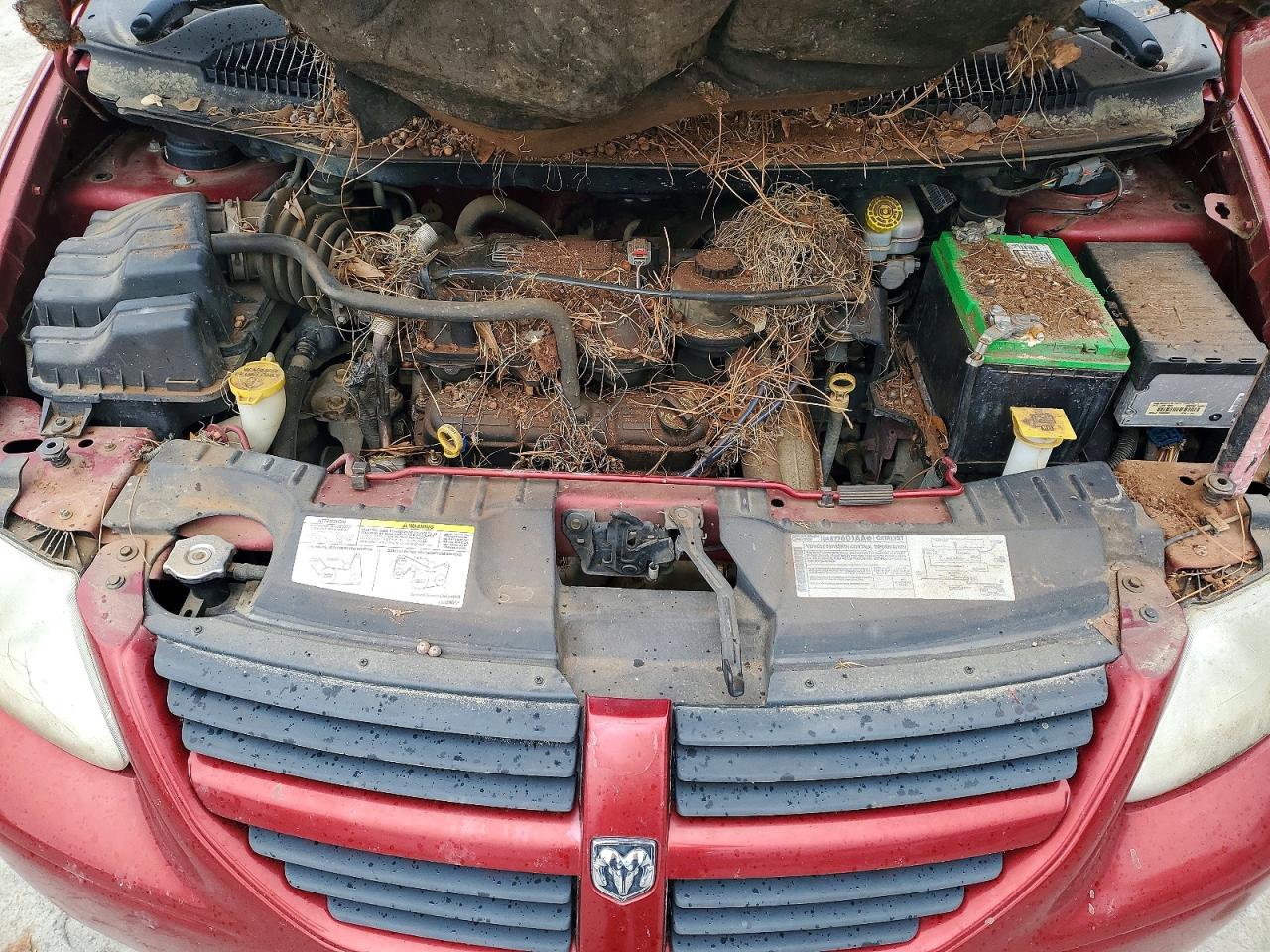 2007 Dodge Grand Caravan Sxt Red vin: 2D4GP44L47R132025