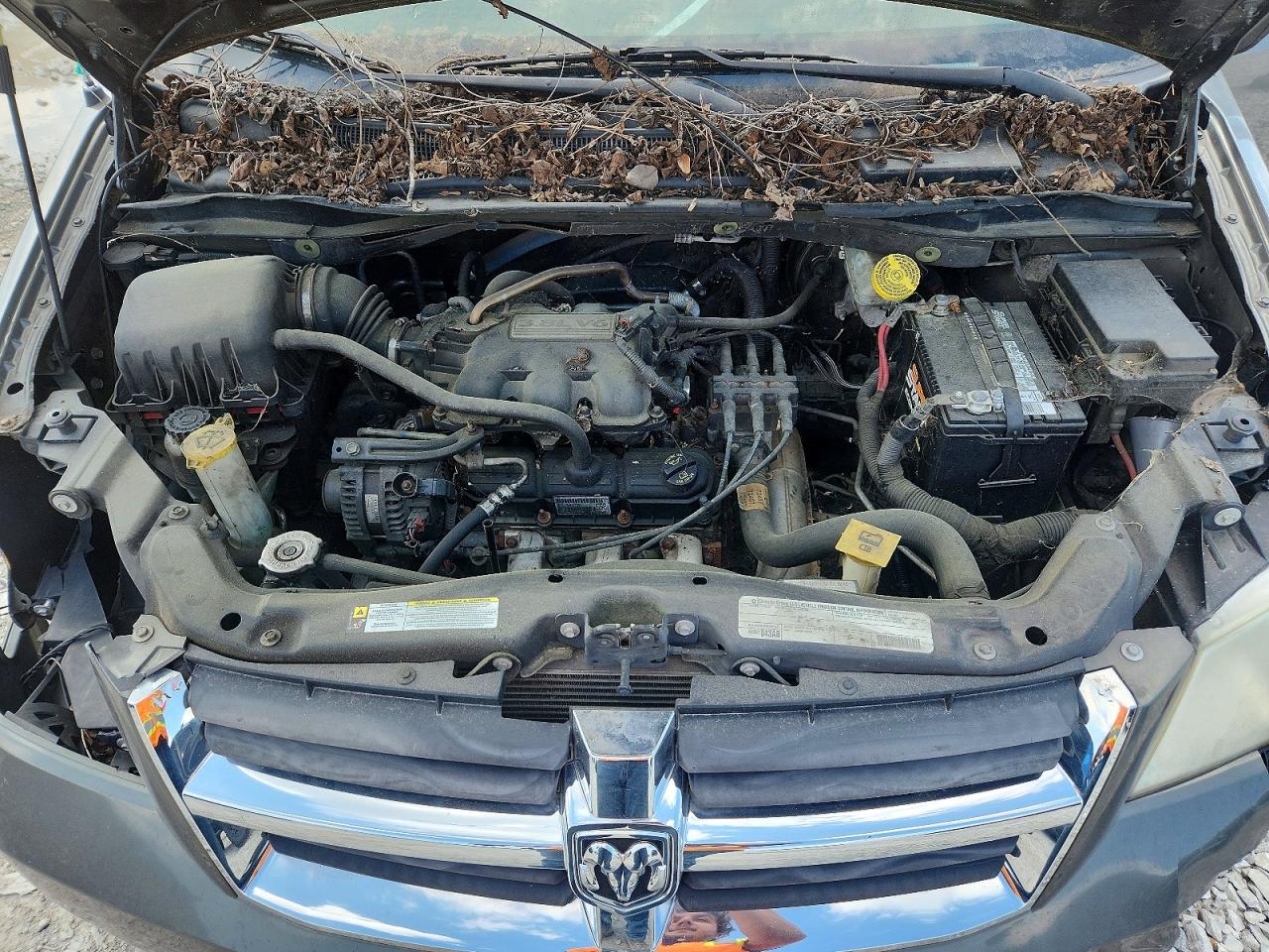 2010 Dodge Grand Caravan Sxt Brown vin: 2D4RN5D16AR467152