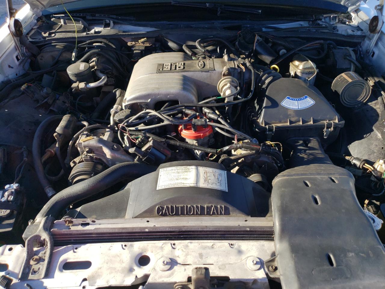 1987 Ford Crown Victoria Lx Белый vin: 2FABP74F5HX132461