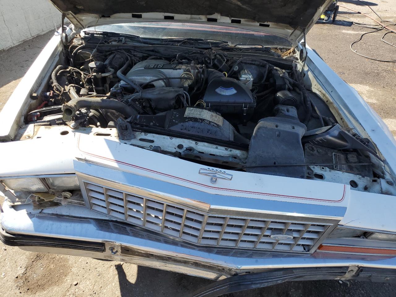1987 Ford Crown Victoria Lx White vin: 2FABP74FXHX142872