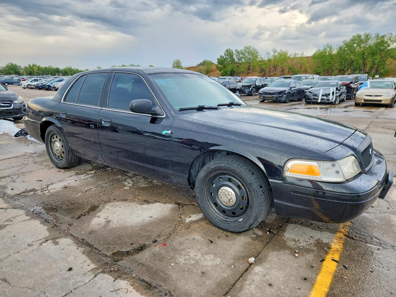 2010 Ford Crown Victoria Police Interceptor Black vin: 2FABP7BV1AX144364