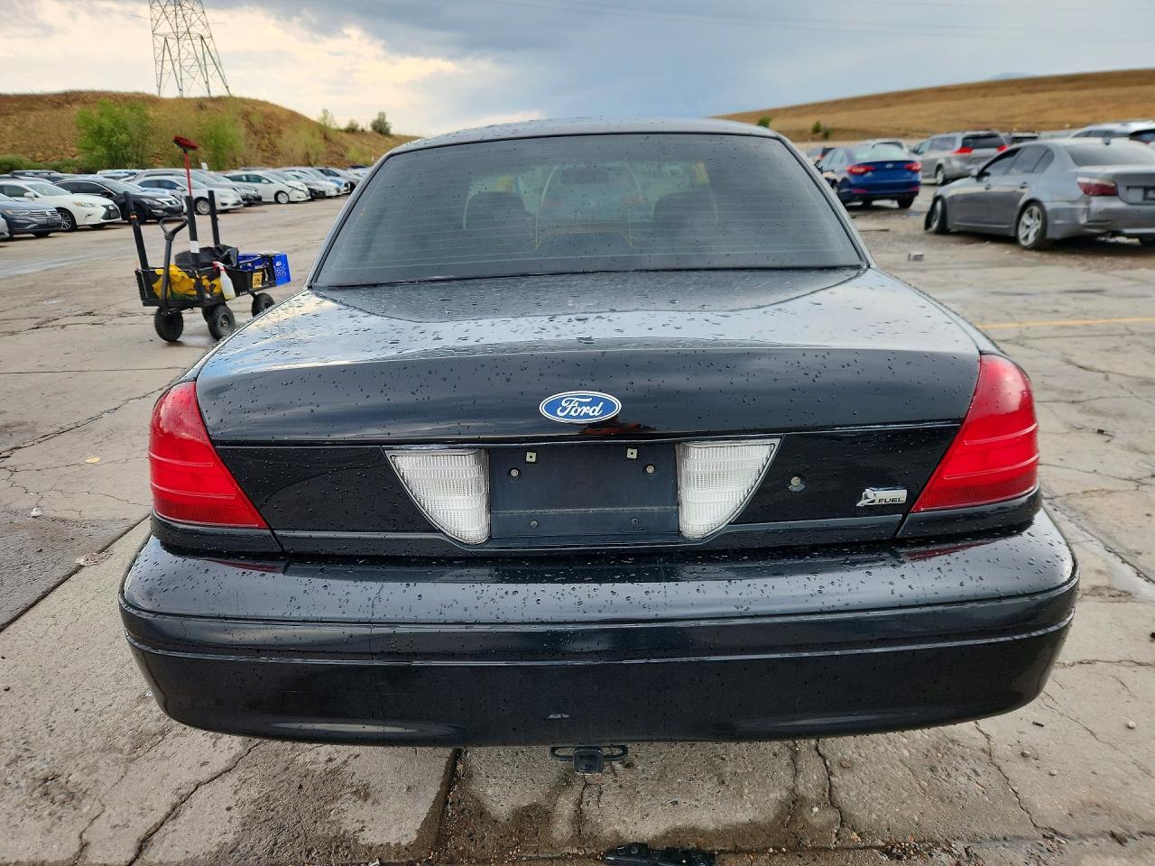 2010 Ford Crown Victoria Police Interceptor Black vin: 2FABP7BV1AX144364