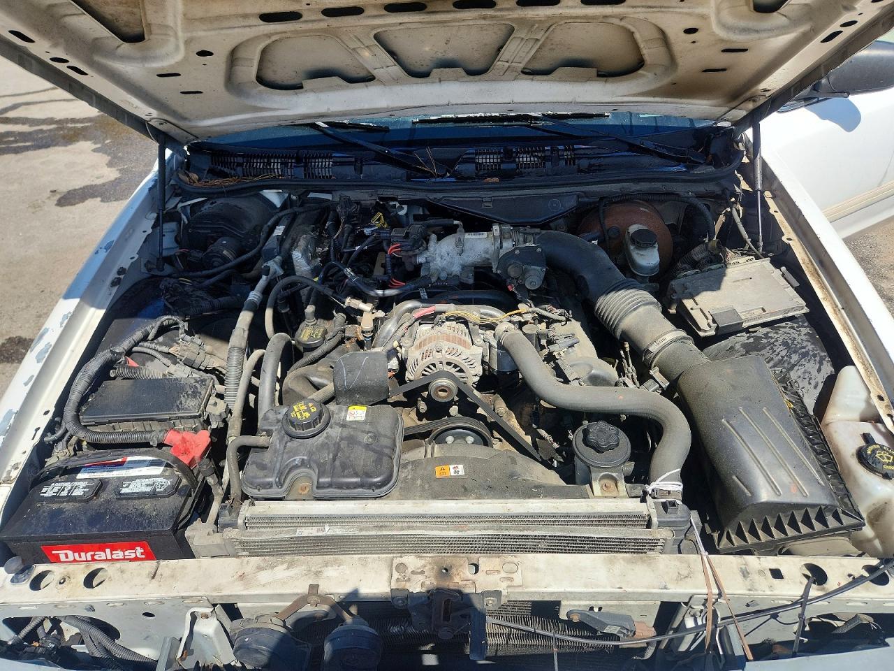 2011 Ford Crown Victoria Белый vin: 2FABP7BV1BX101998