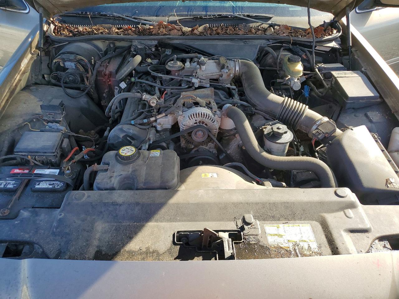 2002 Ford Crown Victoria Tan vin: 2FAFP73W02X101208