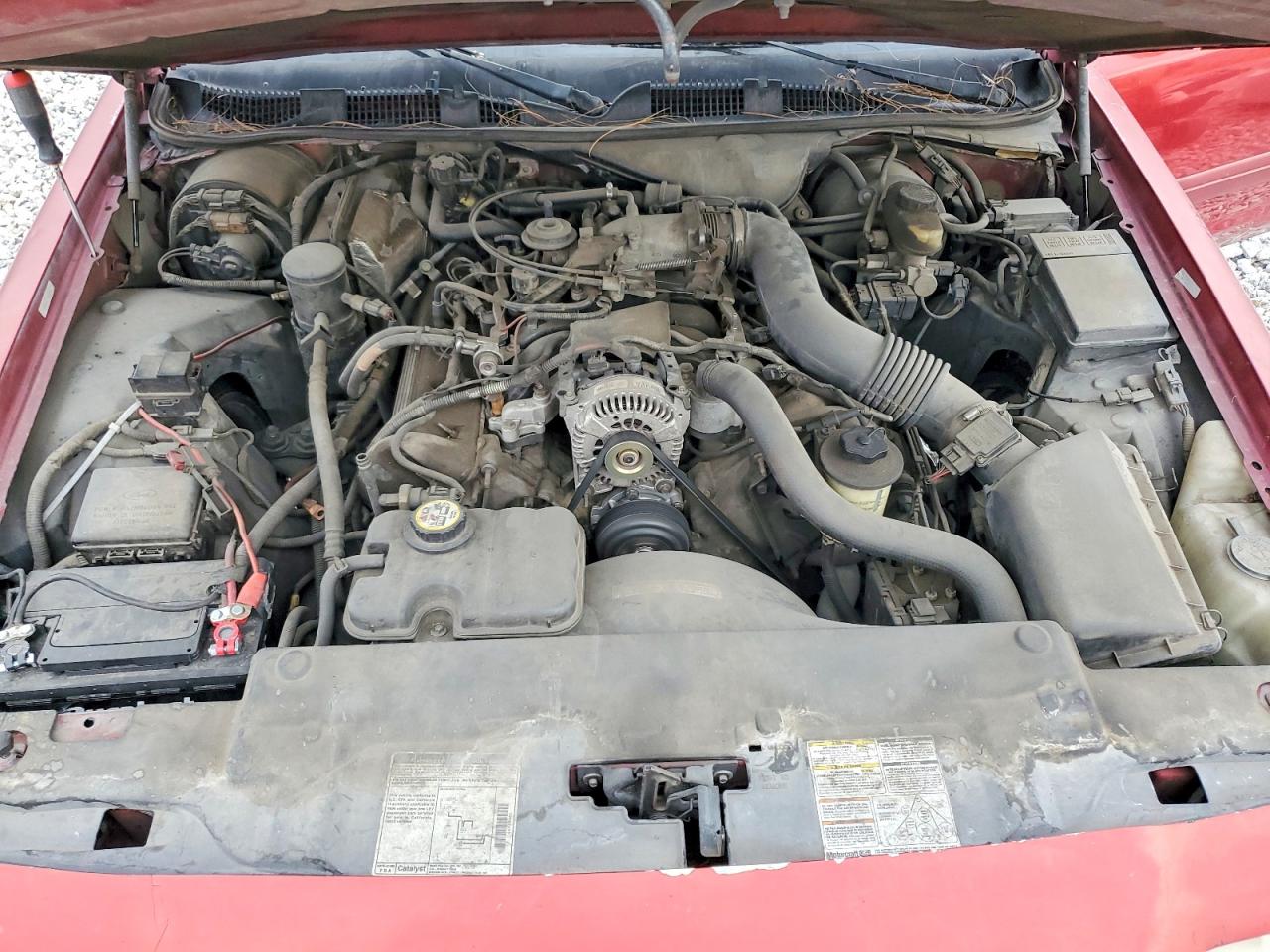 1999 Ford Crown Victoria Красный vin: 2FAFP73W8XX176455