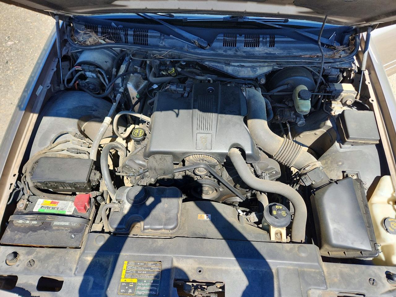 2003 Ford Crown Victoria Brown vin: 2FAFP73WX3X110175