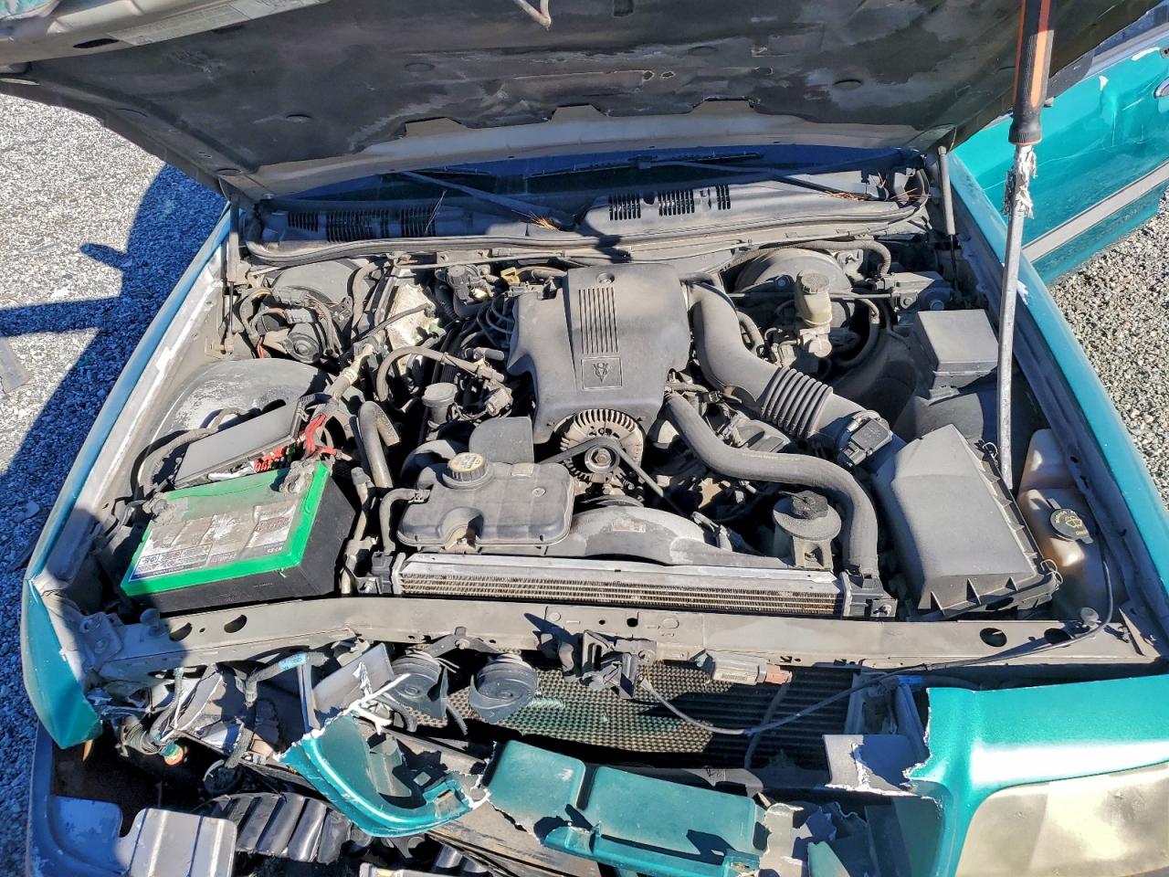 2004 Ford Crown Victoria Lx Green vin: 2FAFP74W54X131032