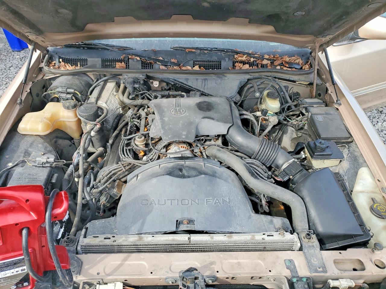1996 Ford Crown Victoria Золотой vin: 2FALP73W5TX187510