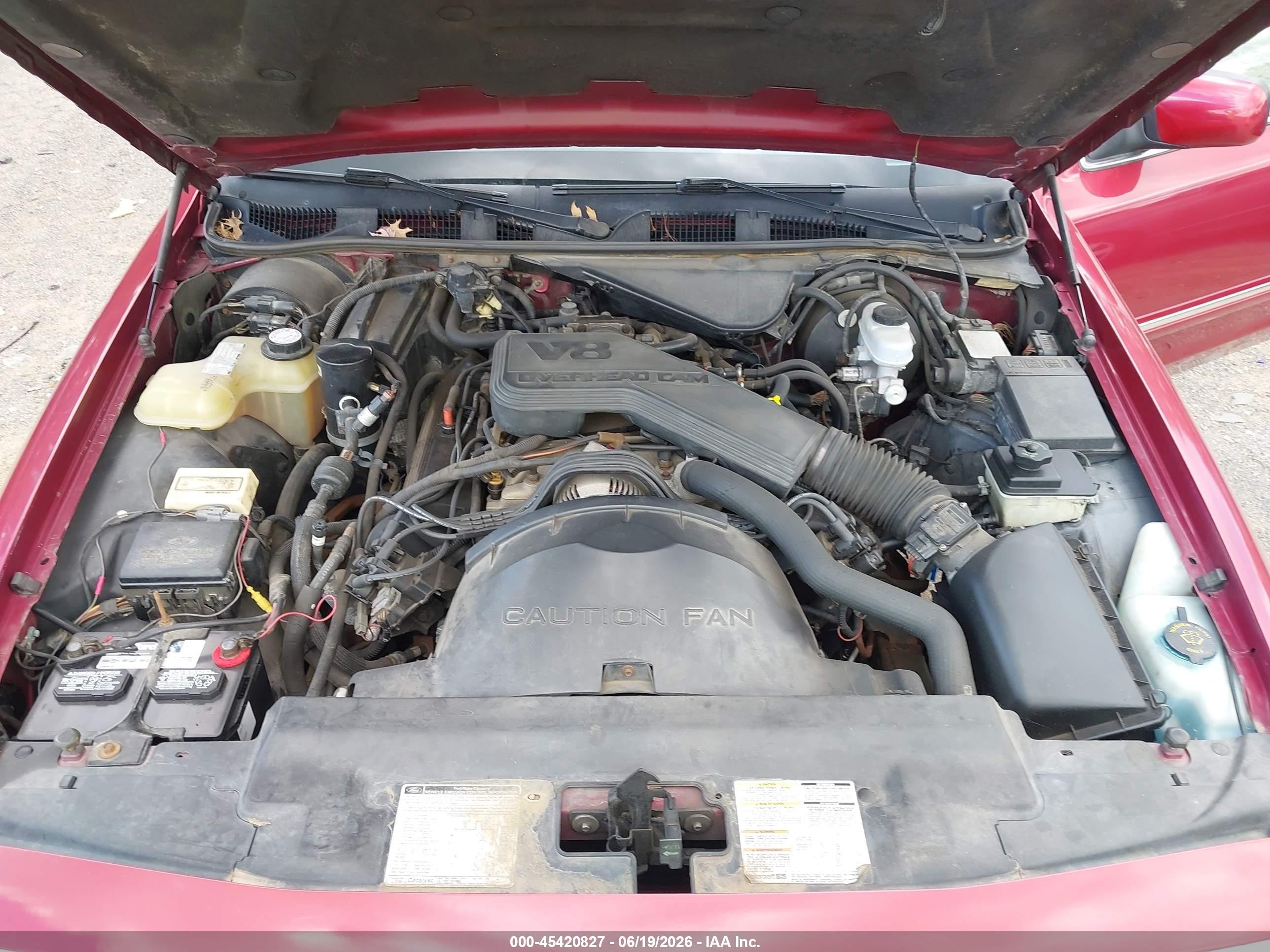 1995 Ford Crown Victoria Lx Красный vin: 2FALP74W6SX116331