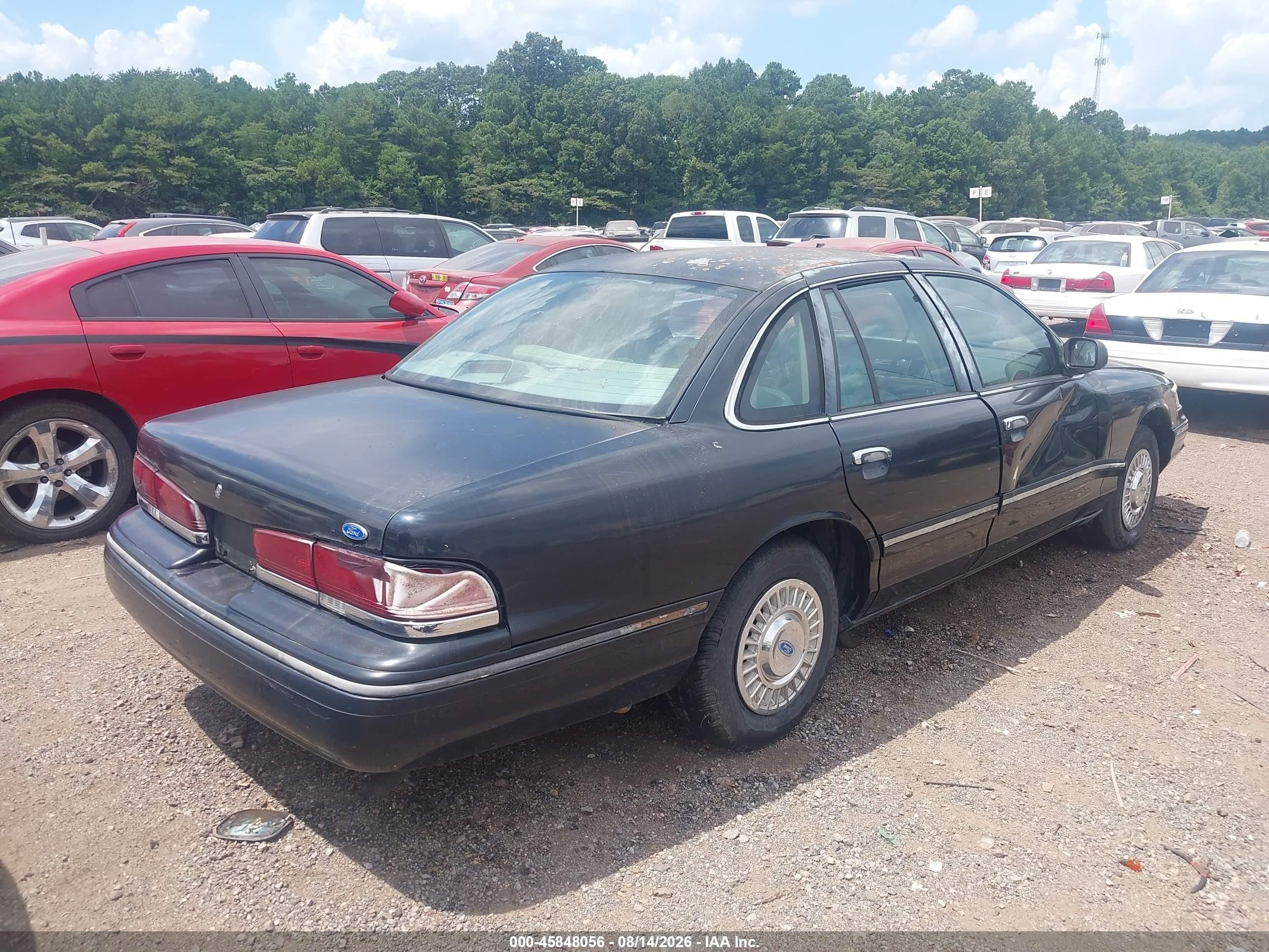 1995 Ford Crown Victoria Lx Black vin: 2FALP74W6SX181681