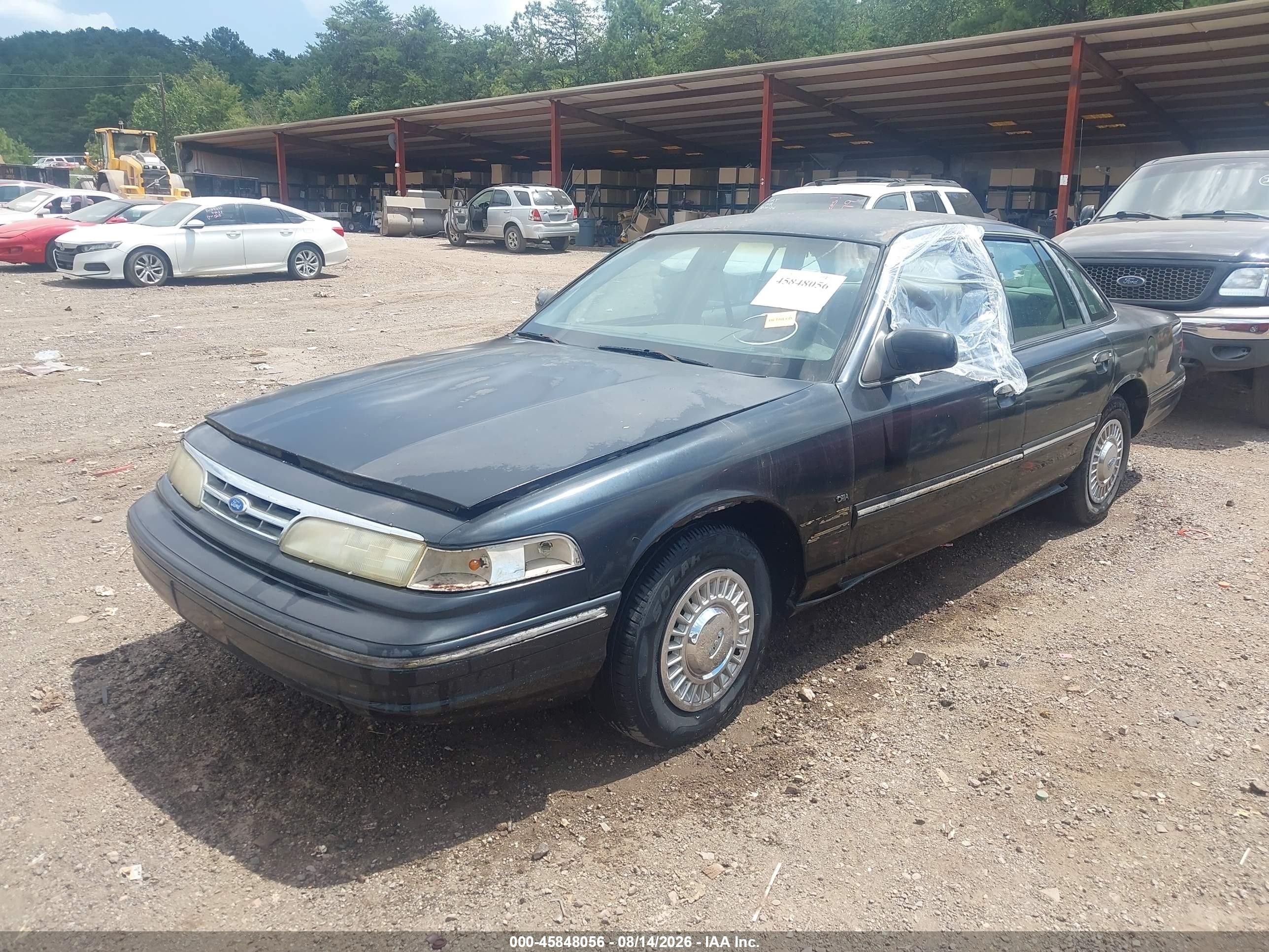 1995 Ford Crown Victoria Lx Black vin: 2FALP74W6SX181681