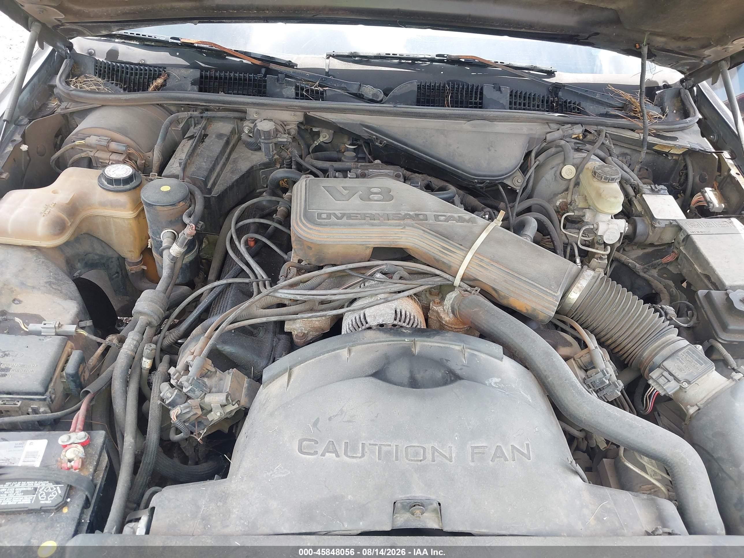 1995 Ford Crown Victoria Lx Black vin: 2FALP74W6SX181681