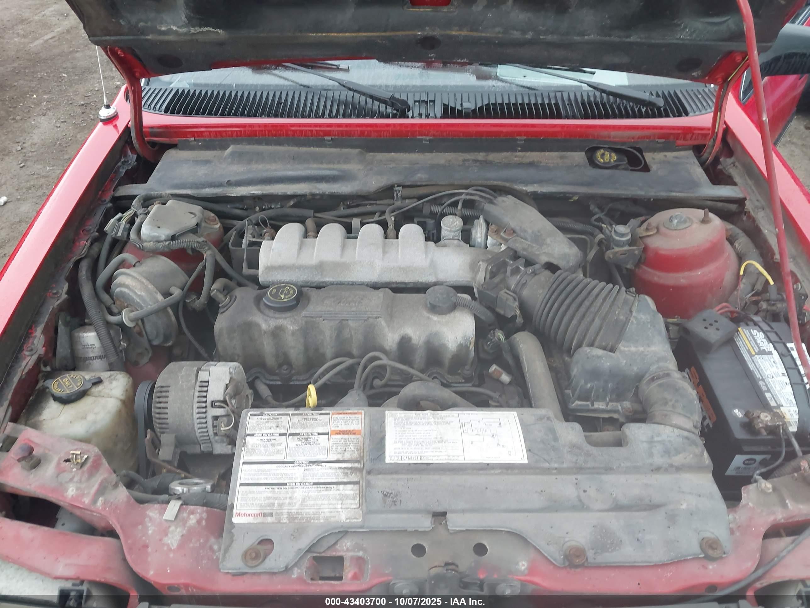 1991 Ford Tempo Gl Red vin: 2FAPP36X1MB199652