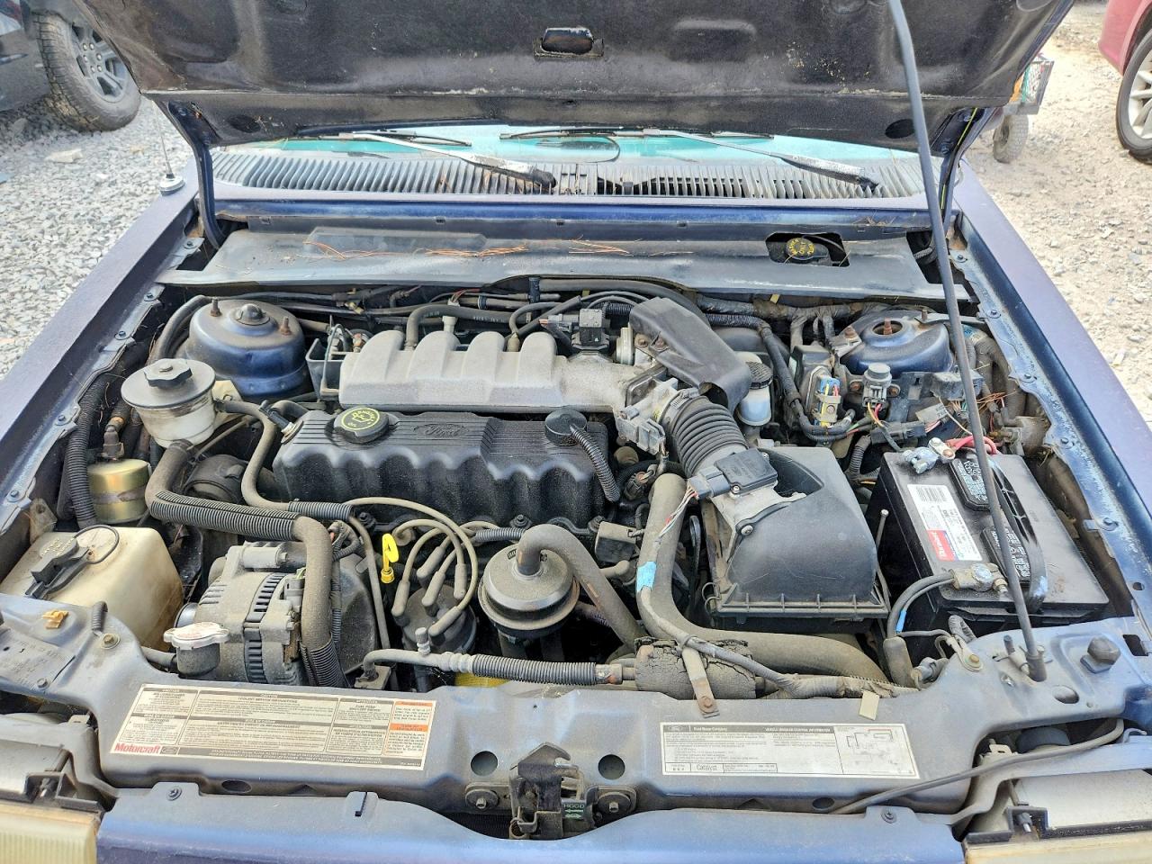 1992 Ford Tempo Gl Blue vin: 2FAPP36X6NB198806