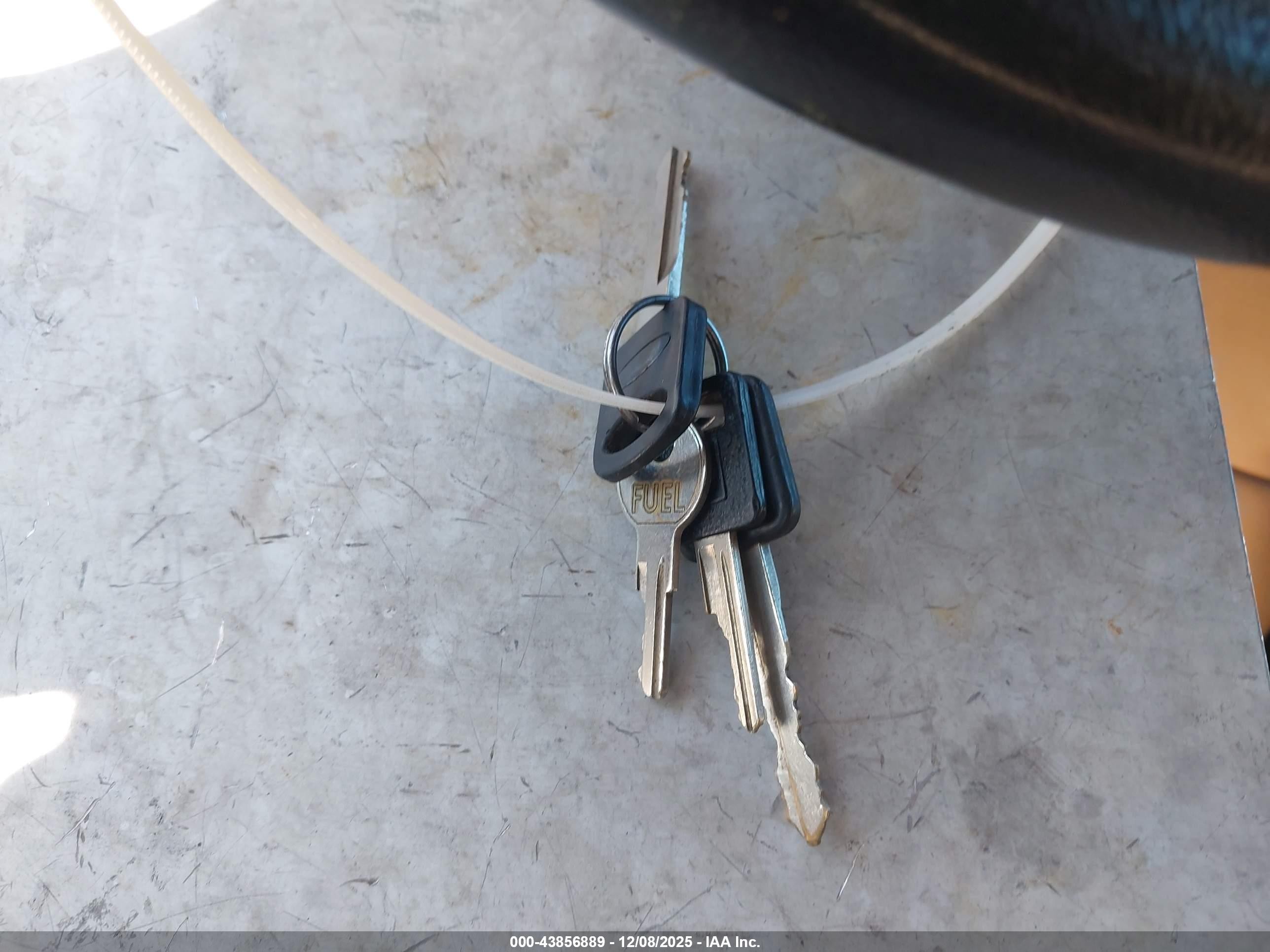 1995 Ford Windstar Wagon Green vin: 2FMDA5147SBC15997