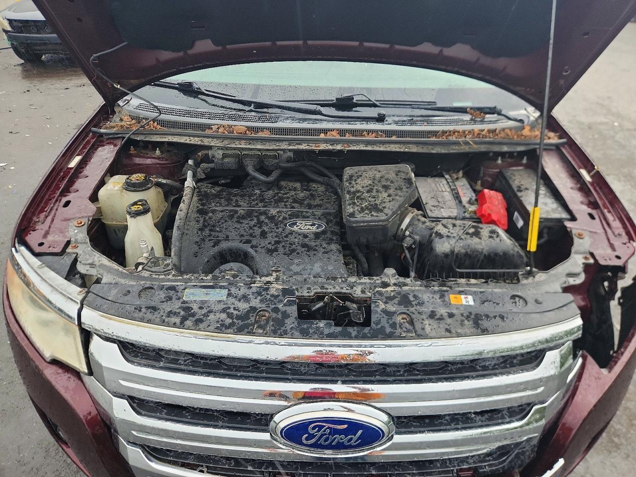 2011 Ford Edge Se Burgundy vin: 2FMDK3GC8BBB31445