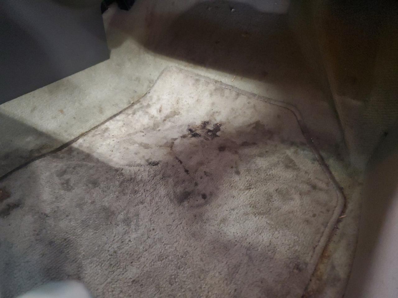 2010 Ford Edge Sel Blue vin: 2FMDK3JC1ABB19077 Damage: Right Front Carpet, Stained, Permanent