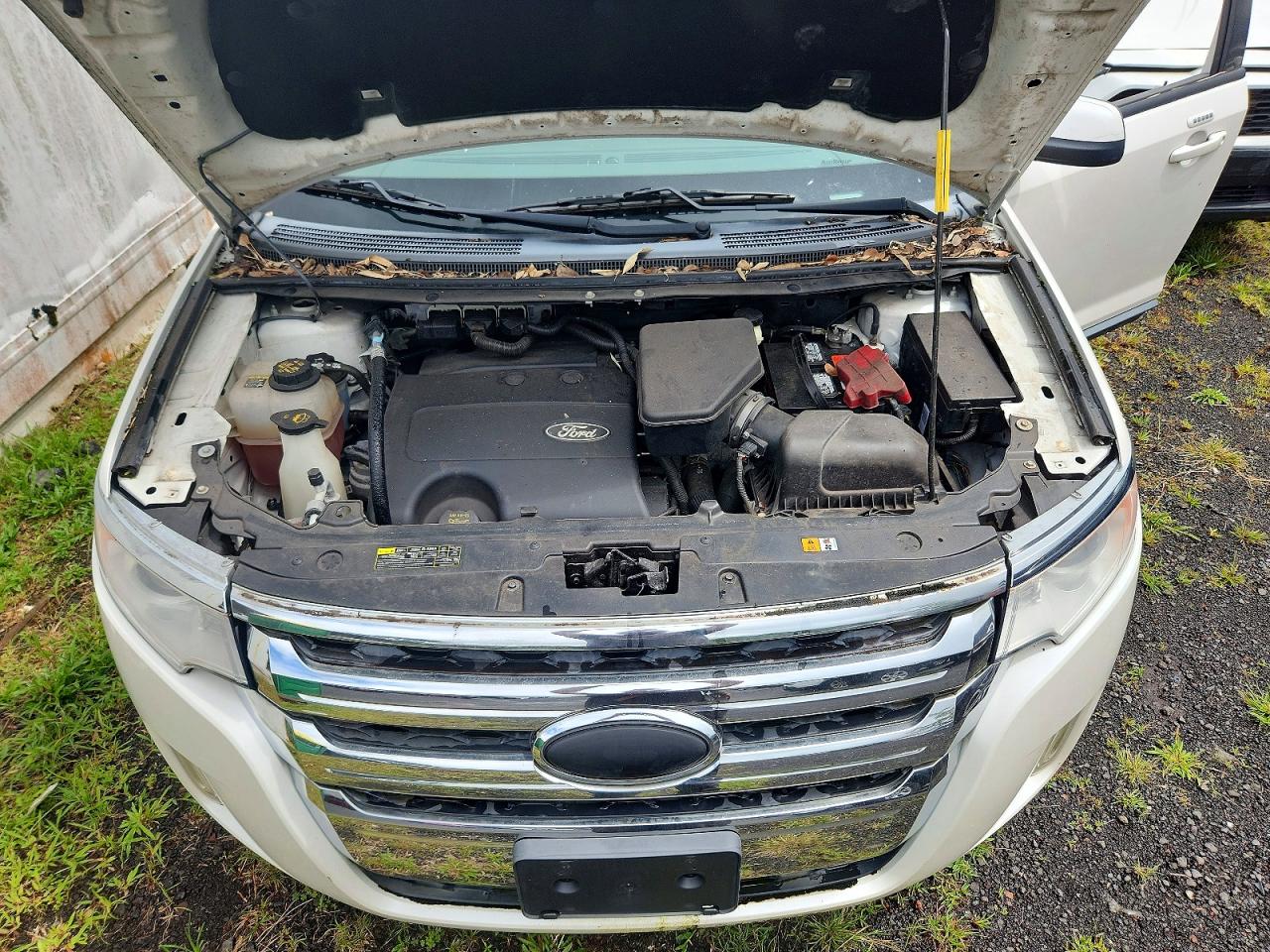 2013 Ford Edge Sel White vin: 2FMDK3JC2DBB54294