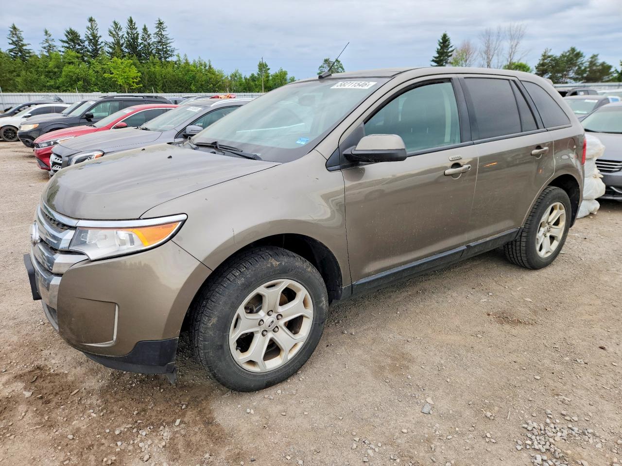 2013 Ford Edge Sel Tan vin: 2FMDK3JC5DBC93450
