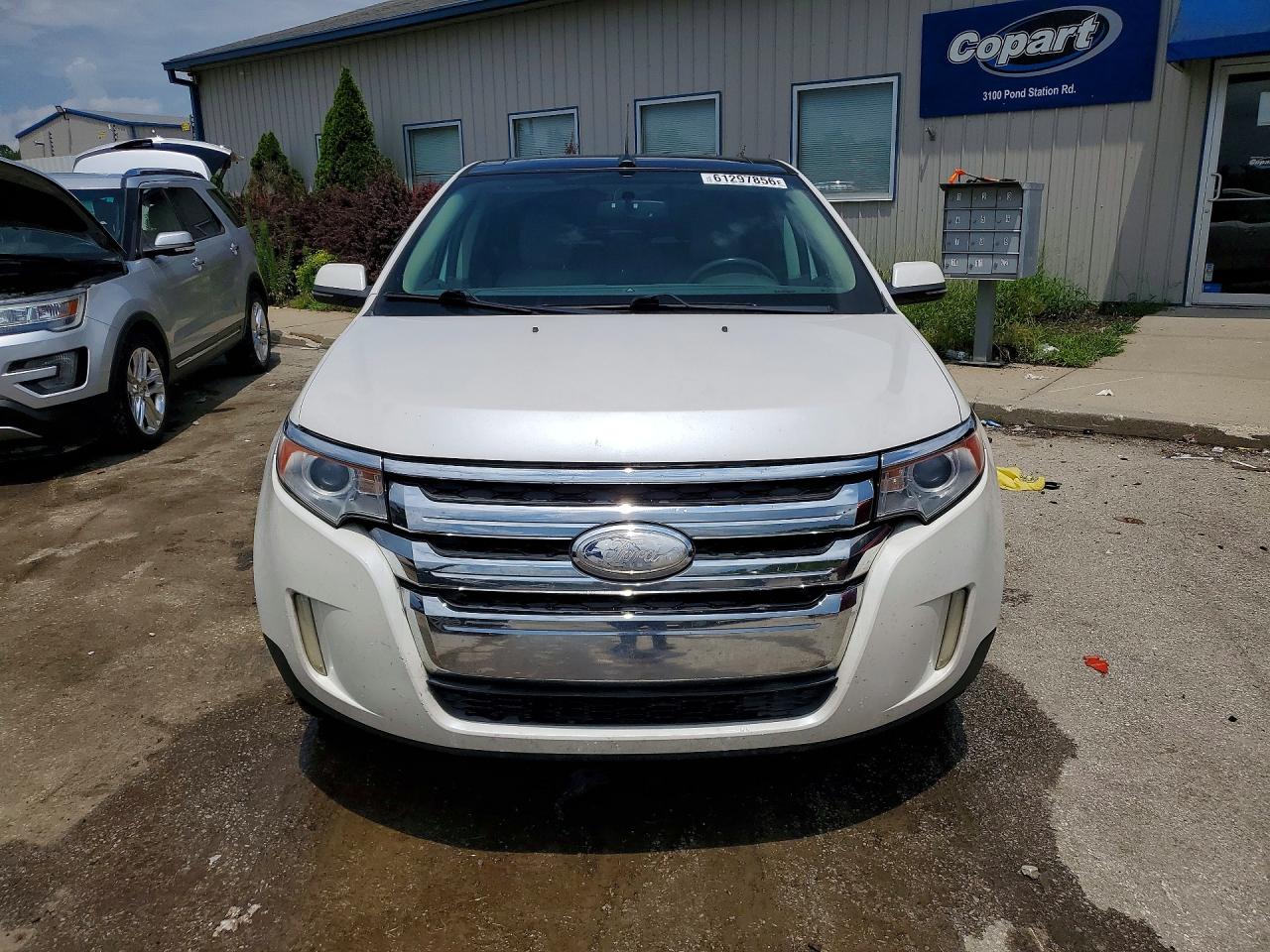 2014 Ford Edge Sel White vin: 2FMDK4JCXEBA13755