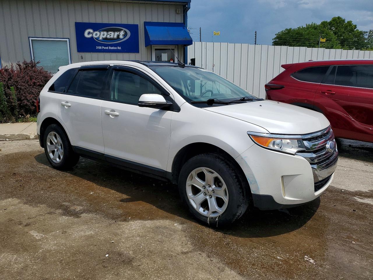 2014 Ford Edge Sel White vin: 2FMDK4JCXEBA13755