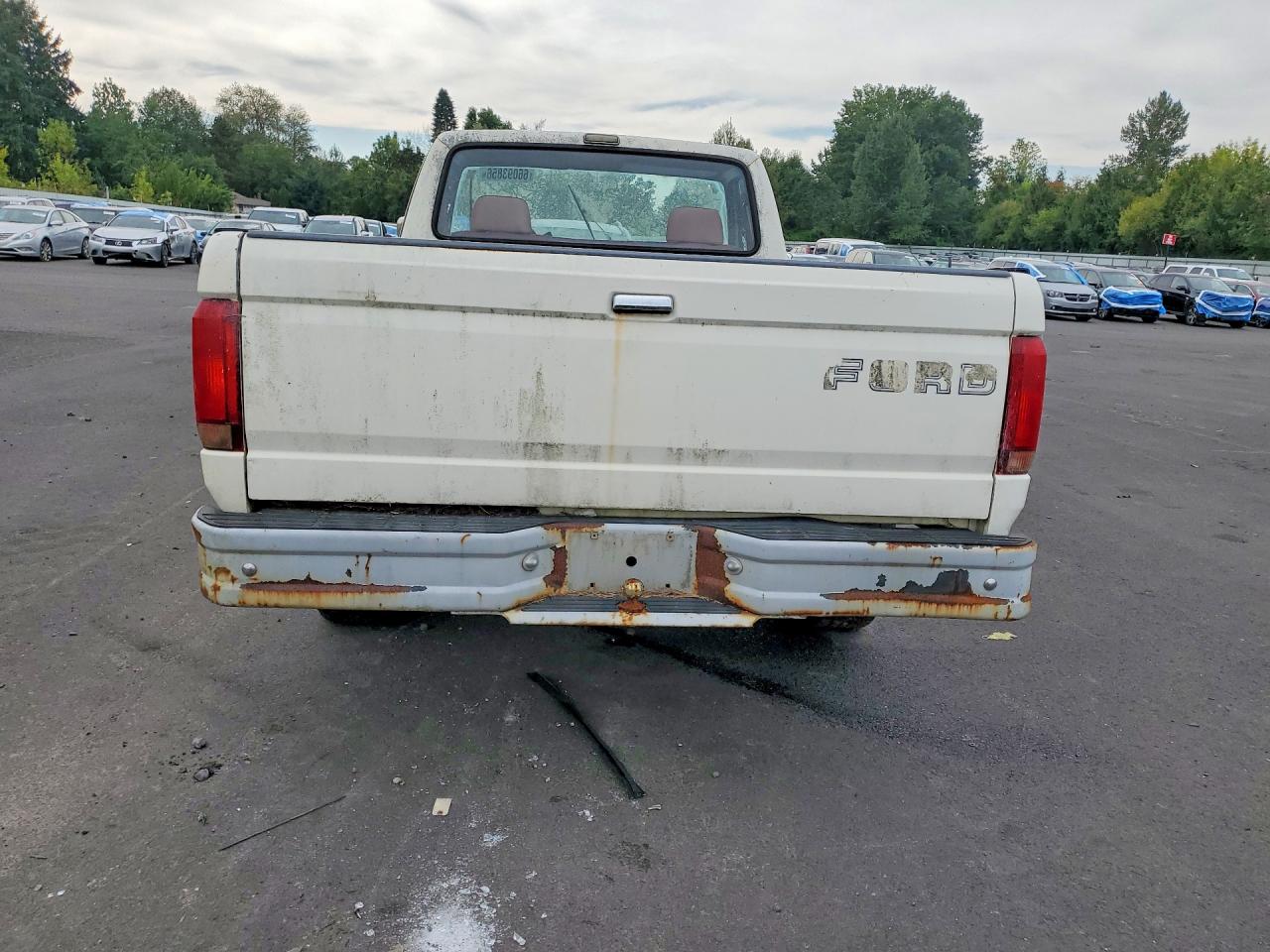 1992 Ford F150 White vin: 2FTEF15Y4NCA59979