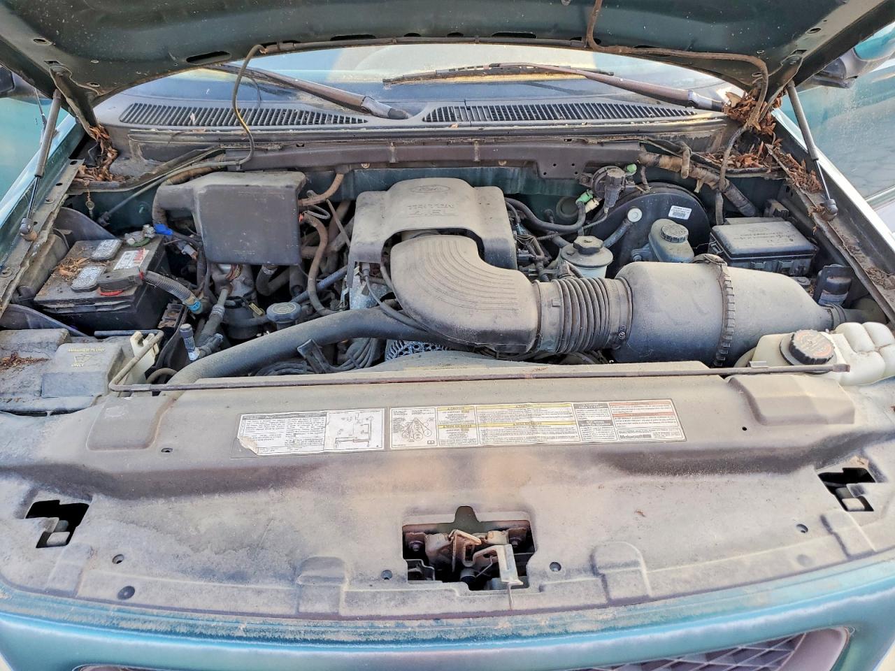 1997 Ford F150 Green vin: 2FTEF1767VCA16961