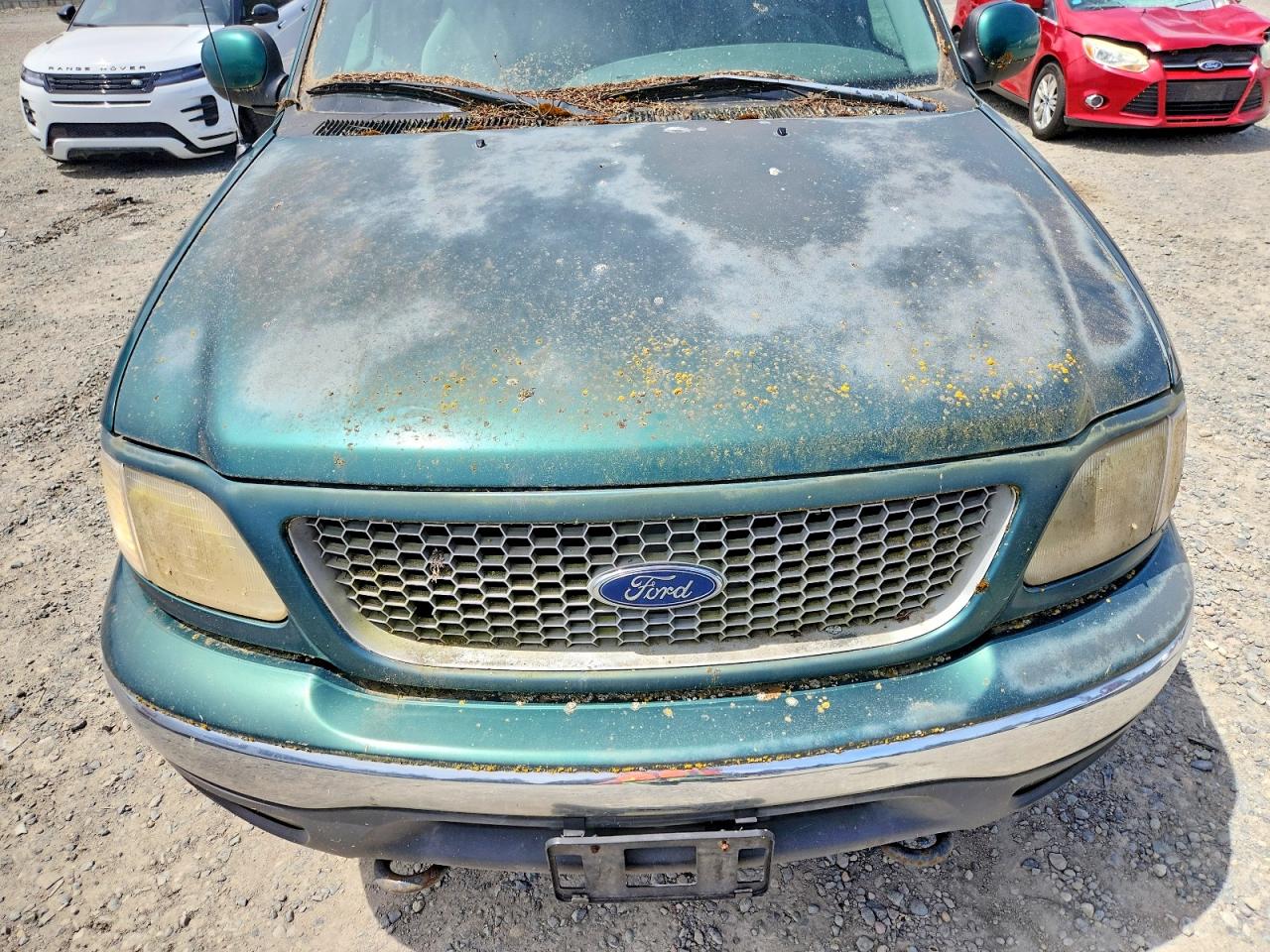 1999 Ford F150 Green vin: 2FTRX18L6XCA55529