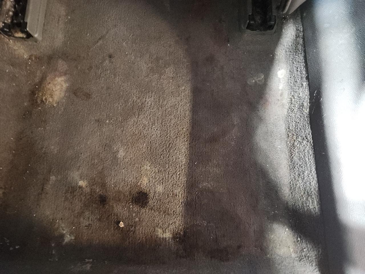 2014 Chevrolet Impala Lt Tan vin: 2G1125S37E9124419 Damage: Right Rear Carpet, Stained, Permanent