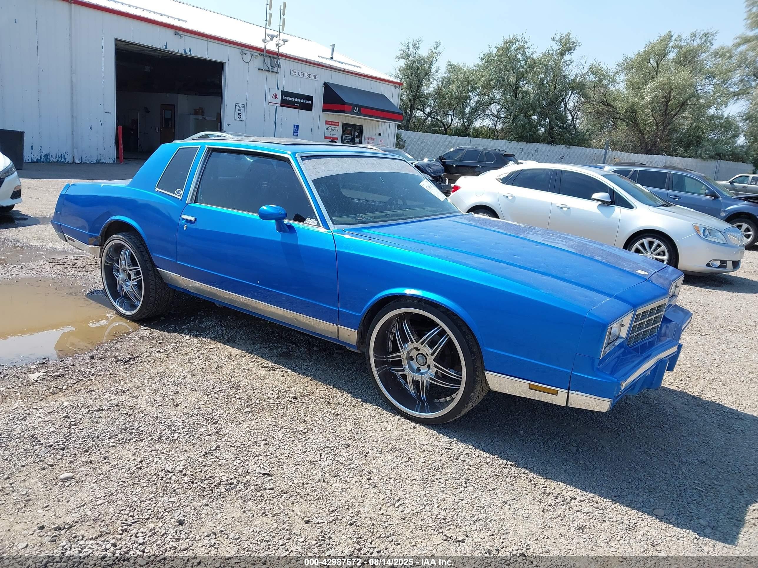 1981 Chevrolet Monte Carlo   Blue vin: 2G1AZ37J8B1451493