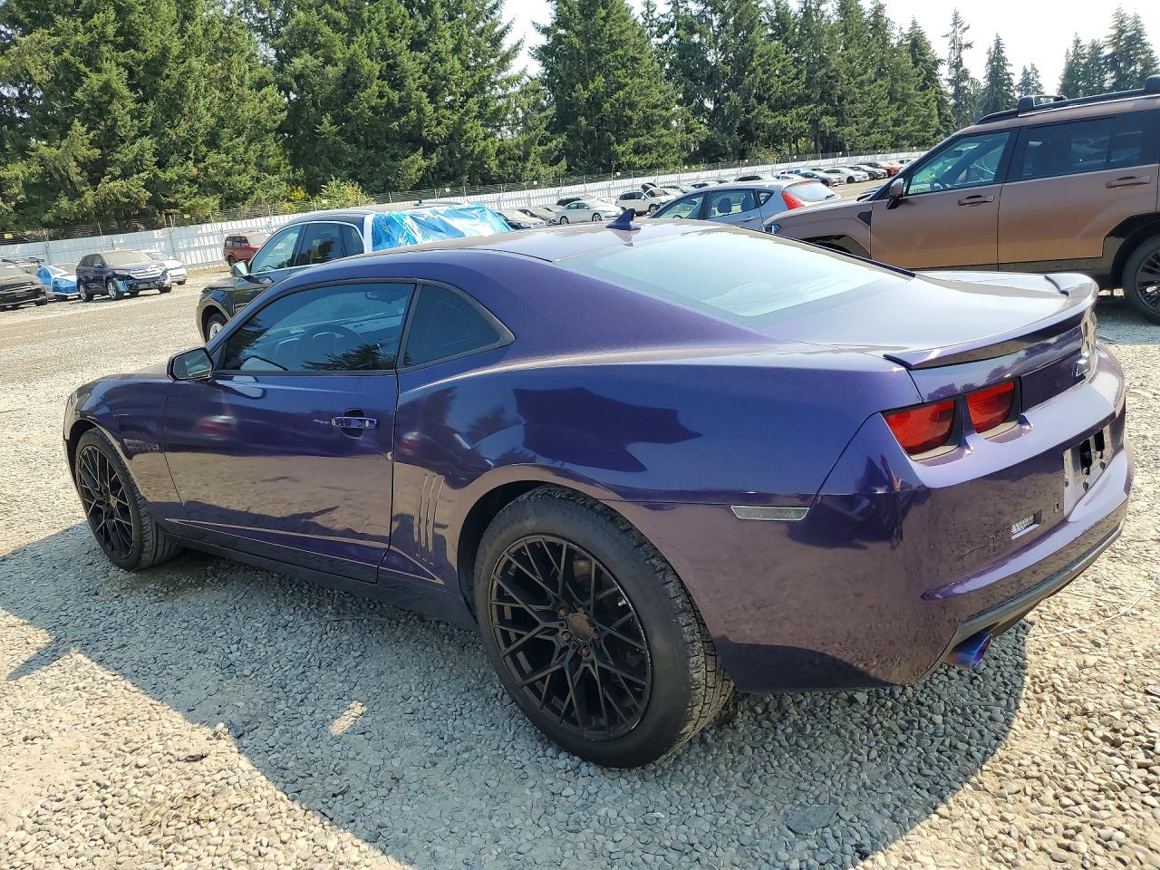 2011 Chevrolet Camaro Lt Purple vin: 2G1FB1ED4B9155898