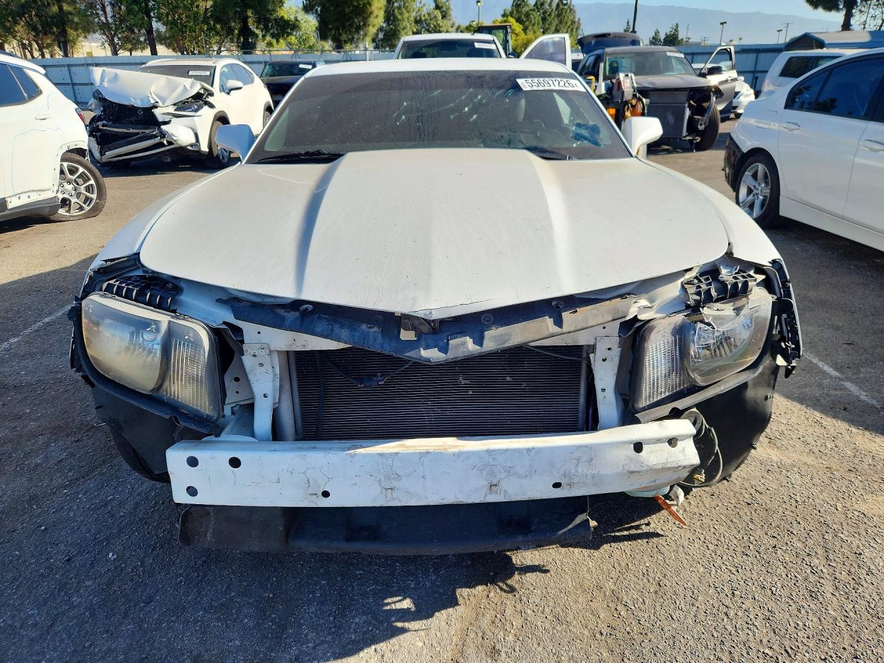 2011 Chevrolet Camaro Lt White vin: 2G1FC1ED9B9198520
