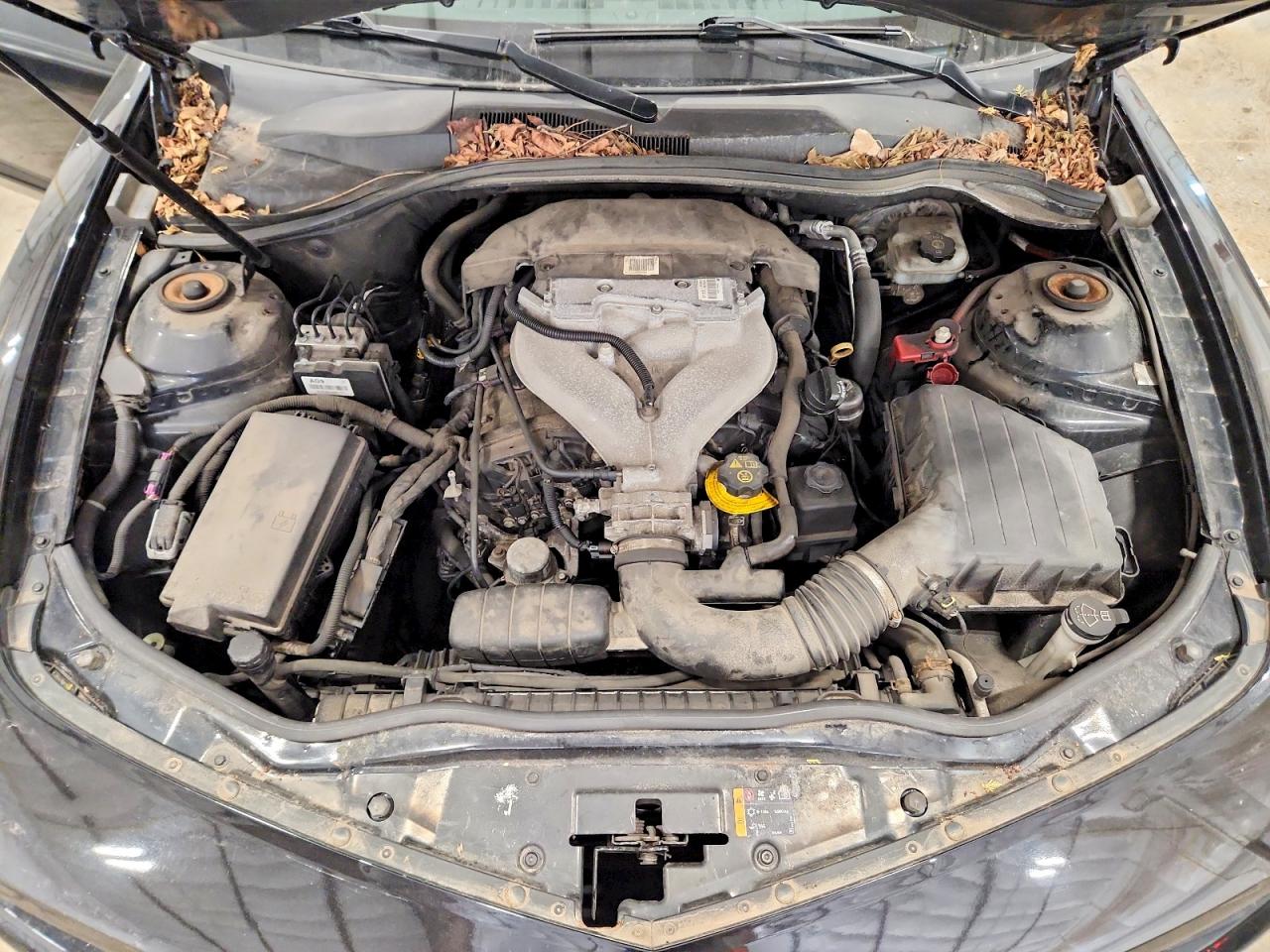 2011 Chevrolet Camaro Ls Black vin: 2G1FE1ED7B9213381