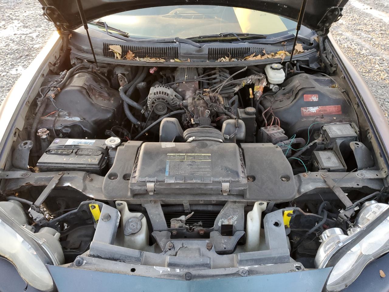 1998 Chevrolet Camaro Двухцветный vin: 2G1FP22K3W2153598