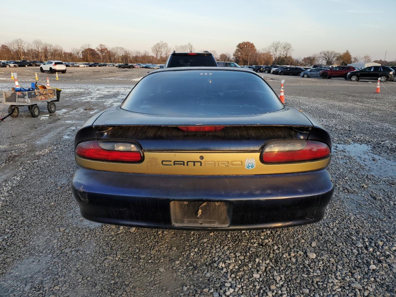 1998 Chevrolet Camaro Двухцветный vin: 2G1FP22K3W2153598