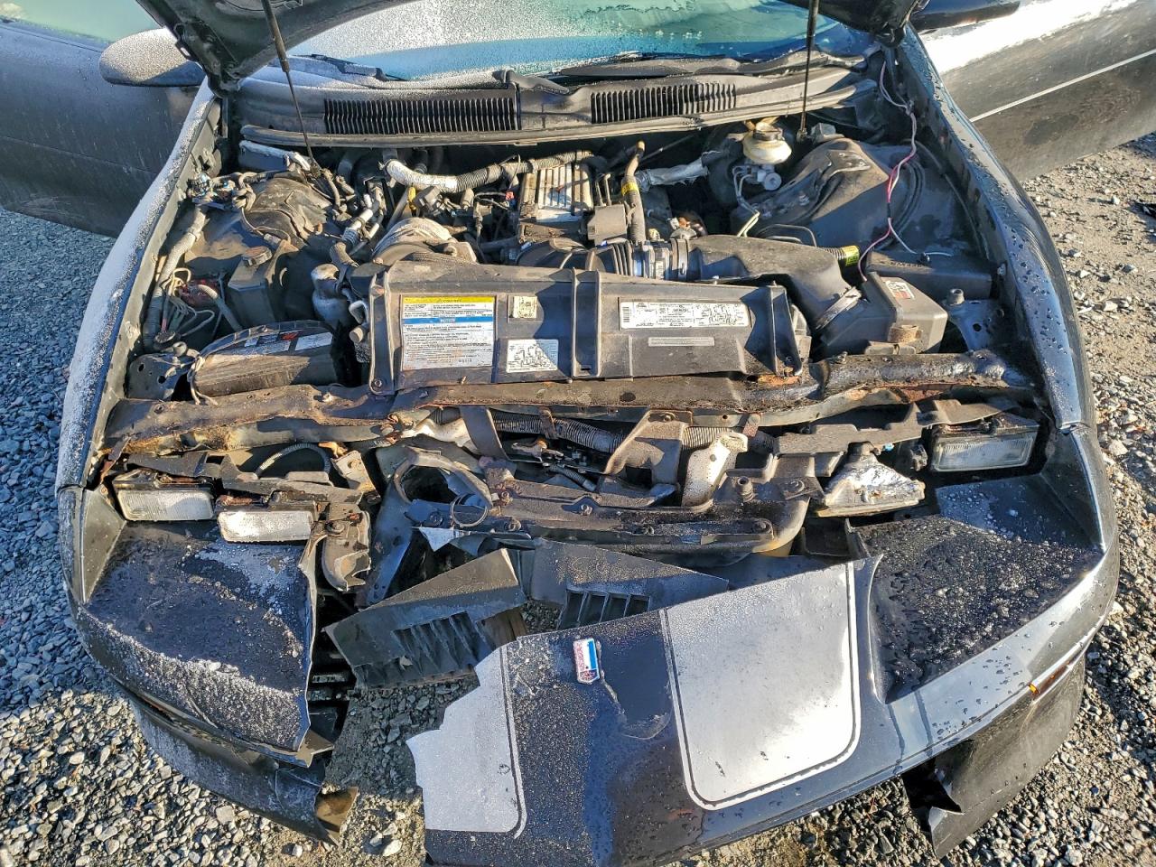 1997 Chevrolet Camaro Z28 Black vin: 2G1FP22P2V2113779