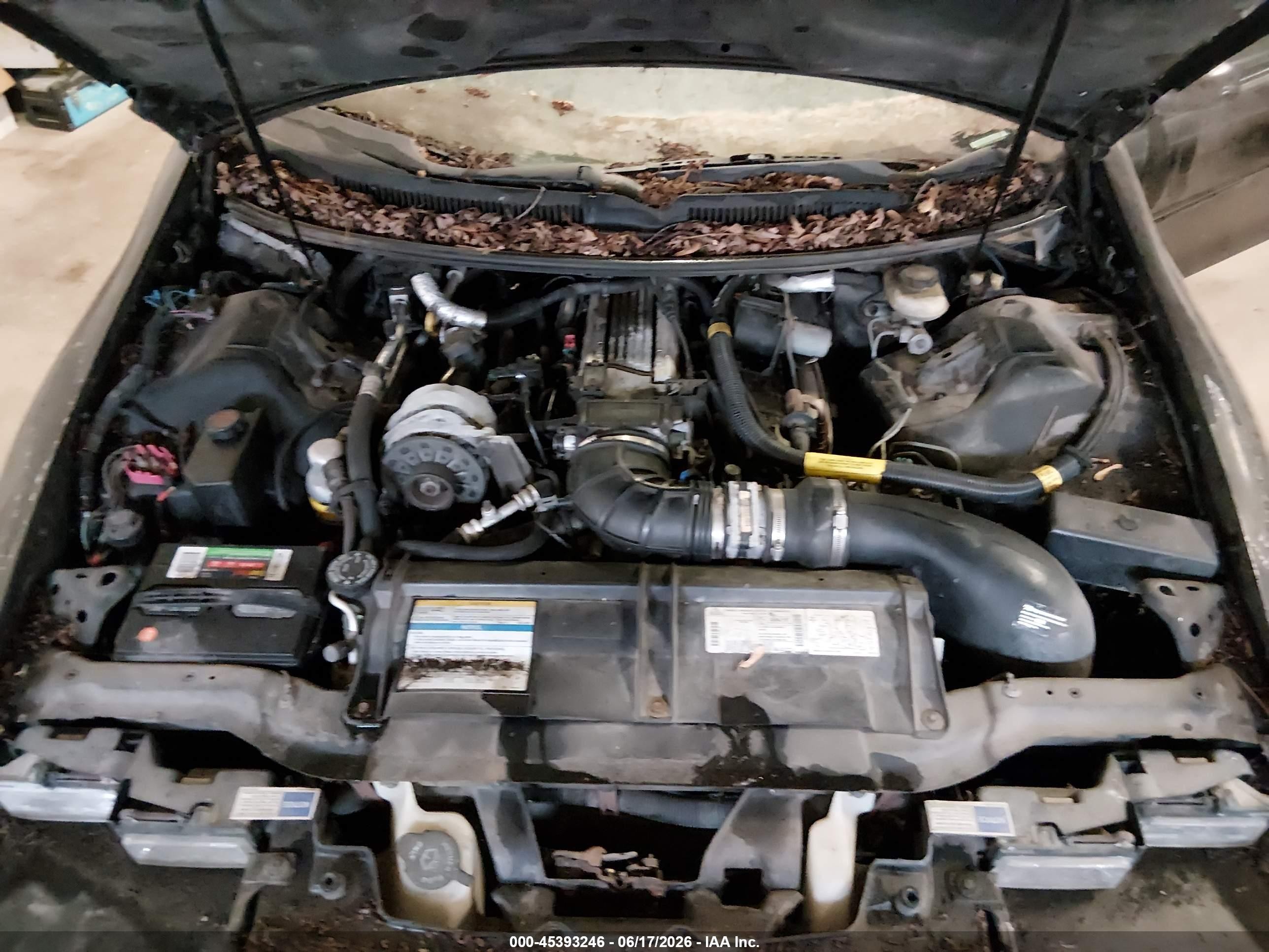 1996 Chevrolet Camaro Z28 Black vin: 2G1FP22P4T2103042