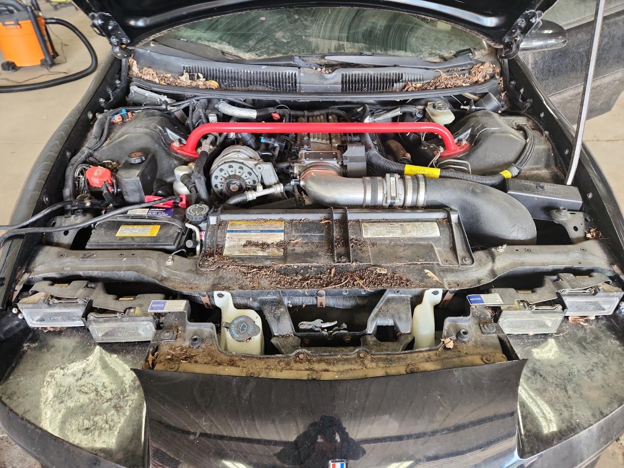 1997 Chevrolet Camaro Z28 Black vin: 2G1FP22PXV2158050