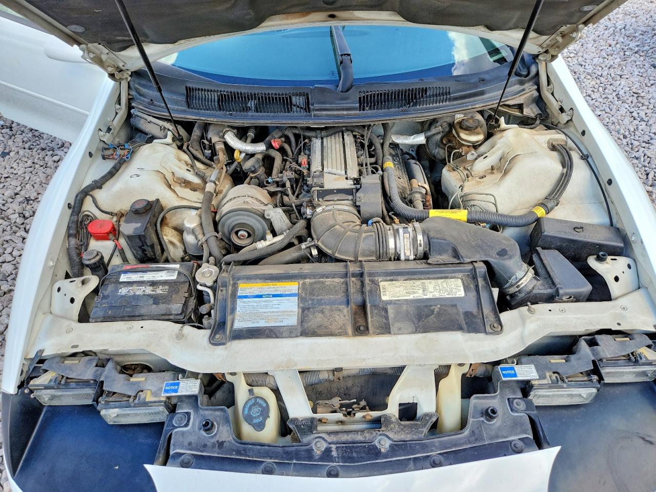 1997 Chevrolet Camaro Z28 Белый vin: 2G1FP32P4V2115779