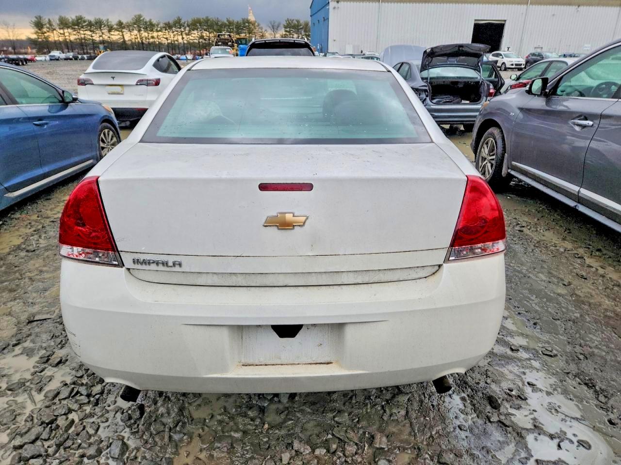 2015 Chevrolet Impala Limited Ls Белый vin: 2G1WA5E38F1117080